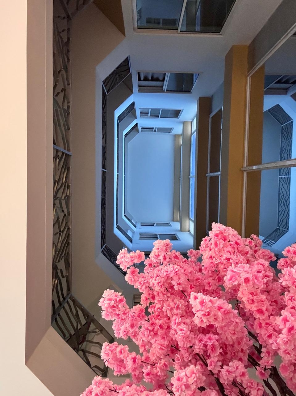 Foto de Hotel Rosales Gold