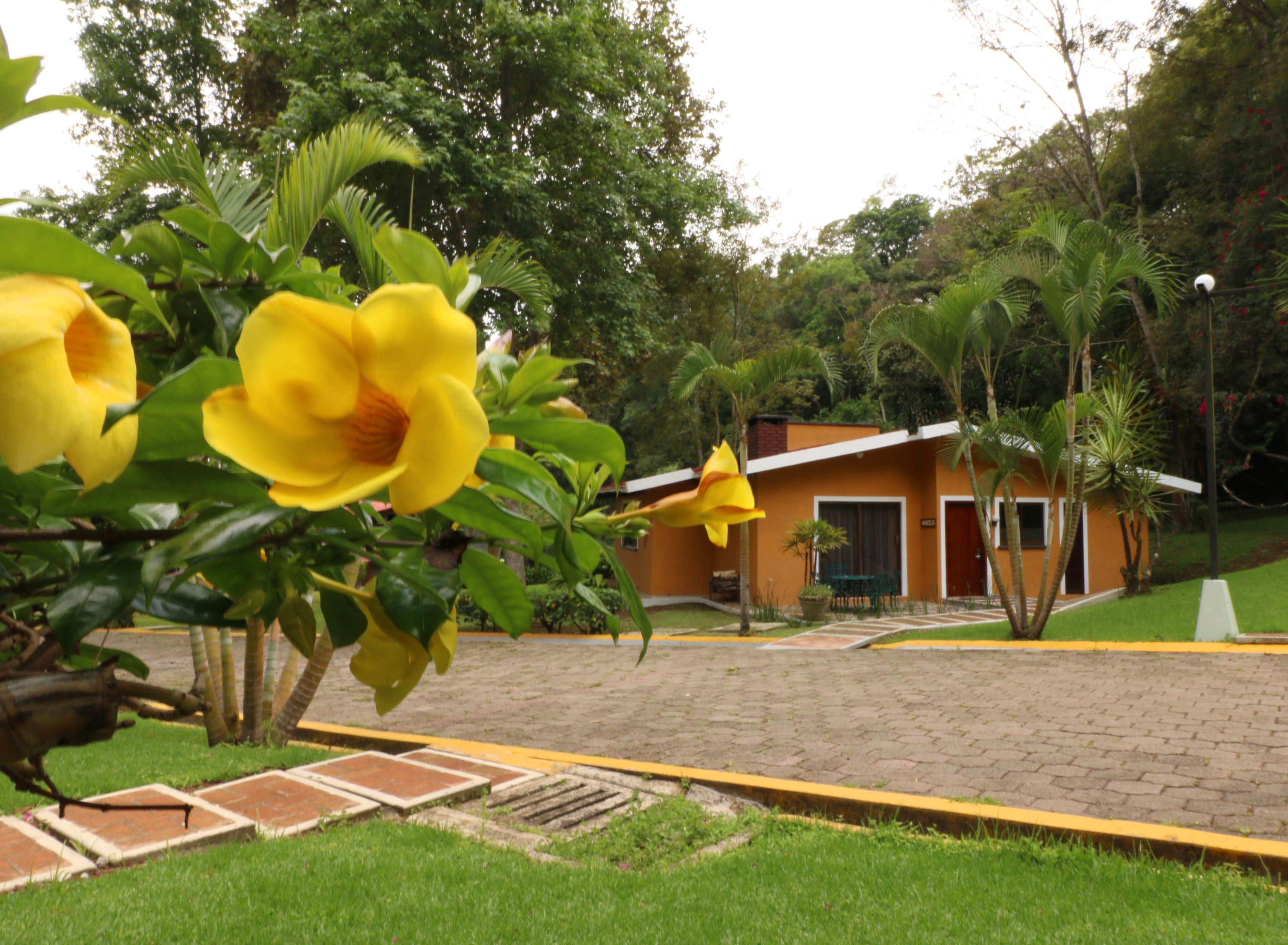 Foto de Mision Cocuyos Alta Montaña