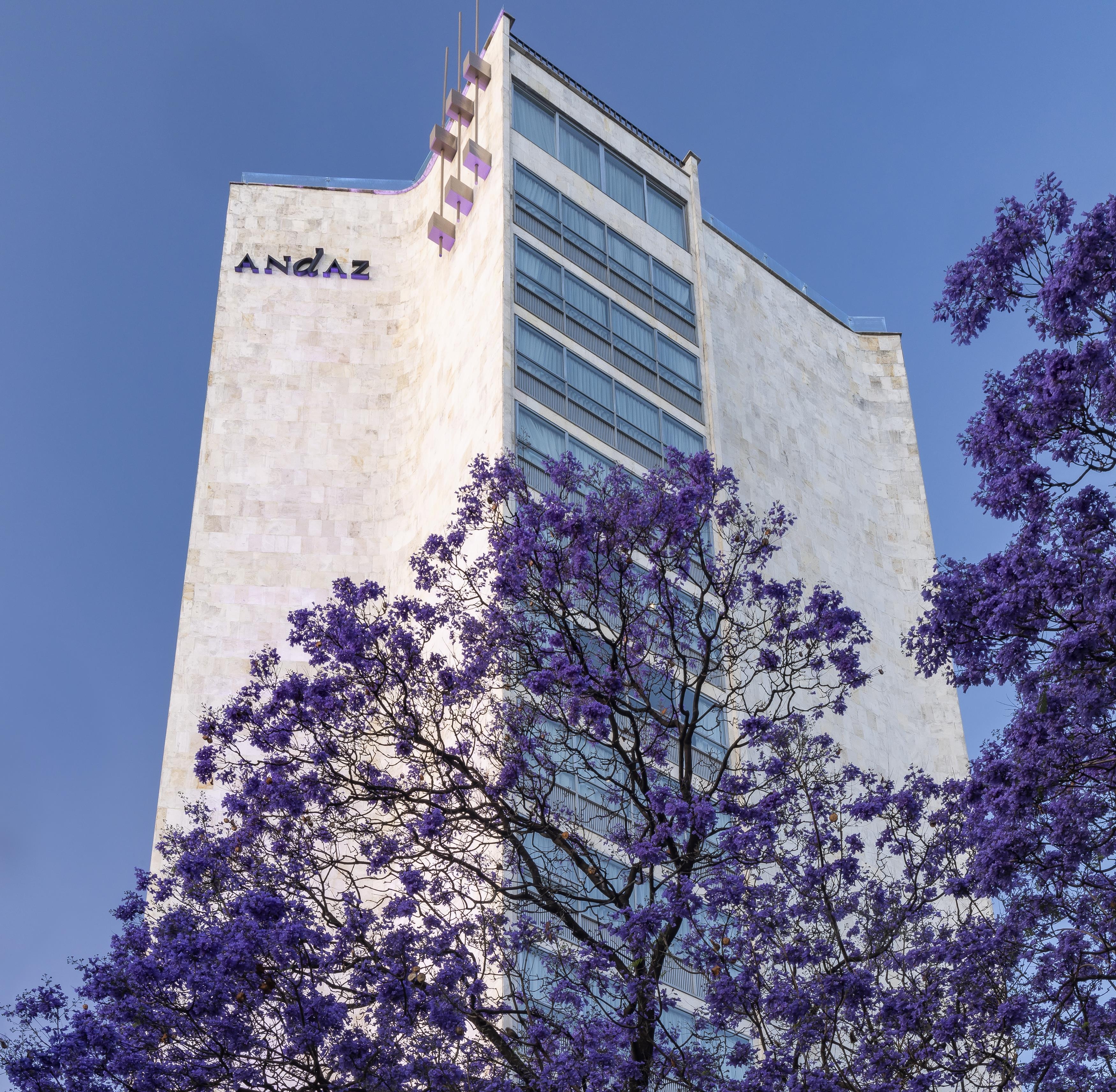 Foto de Andaz Condesa Mexico City, By Hyatt