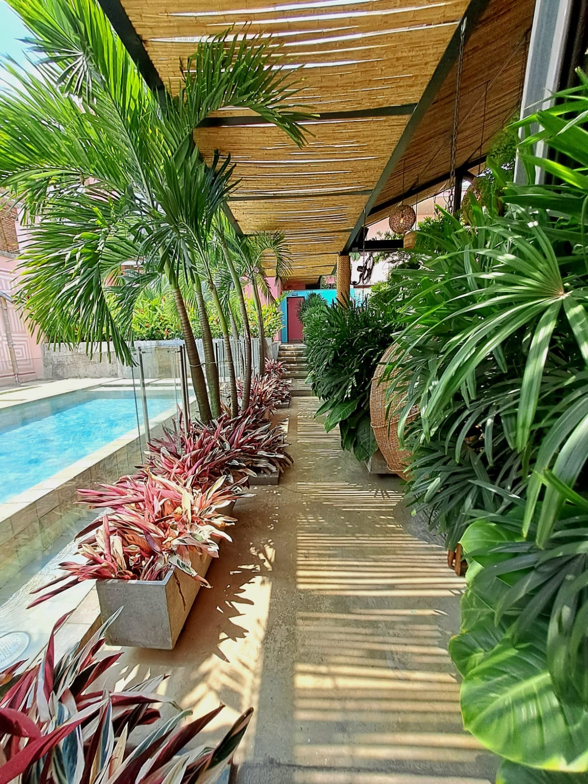 Foto de Rossa Palma Hotel Boutique