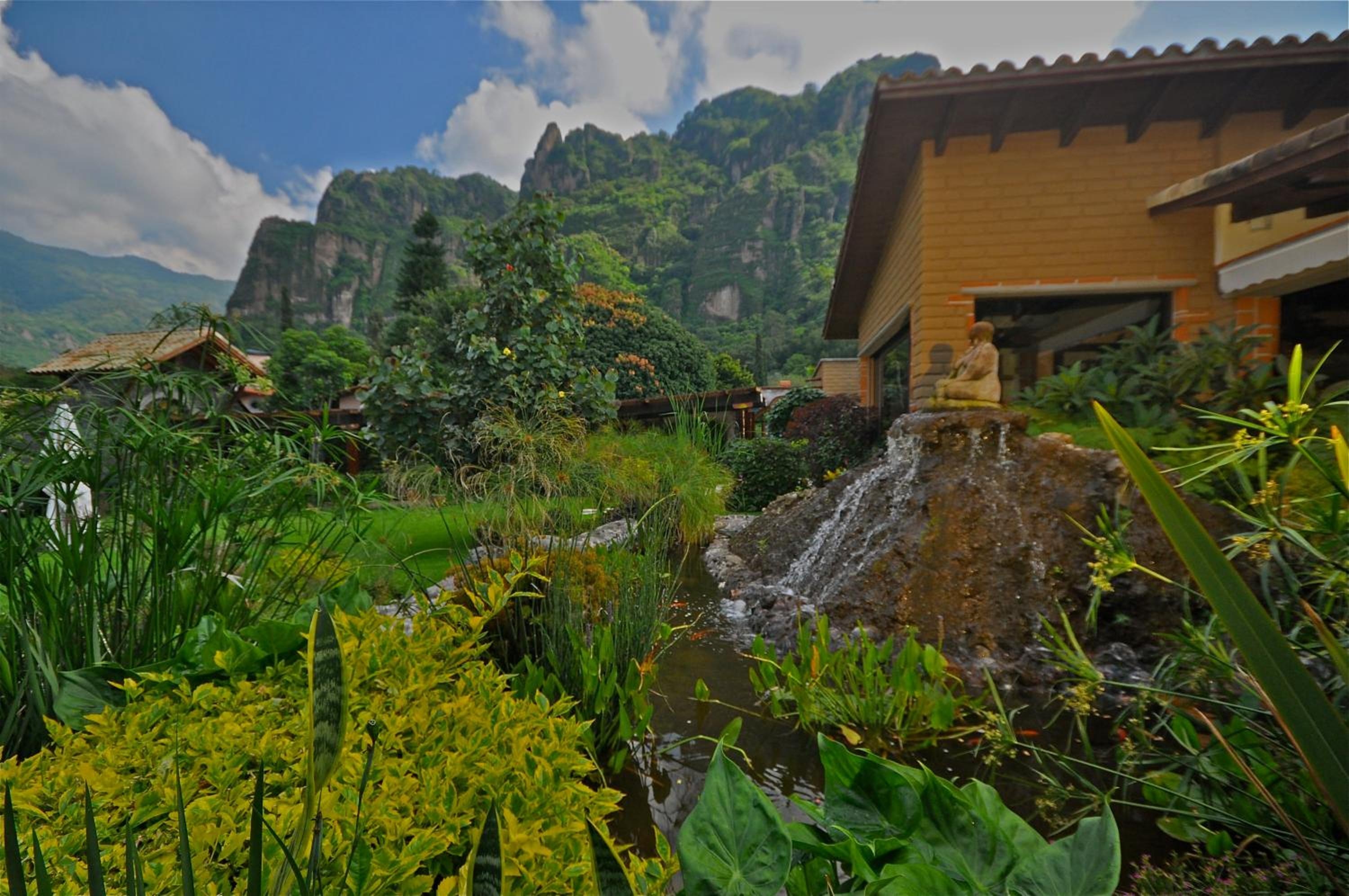 Foto de La Buena Vibra Wellness Resort & Spa