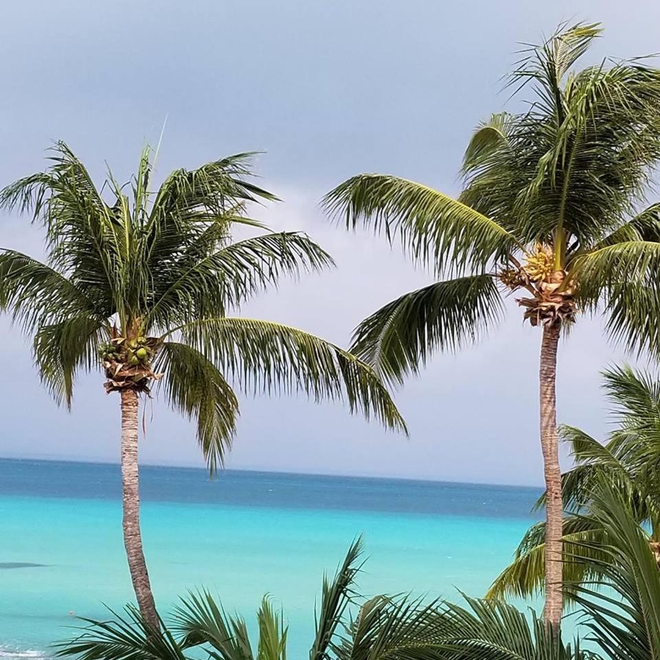 Foto de Estrella del Mar - Condo 101