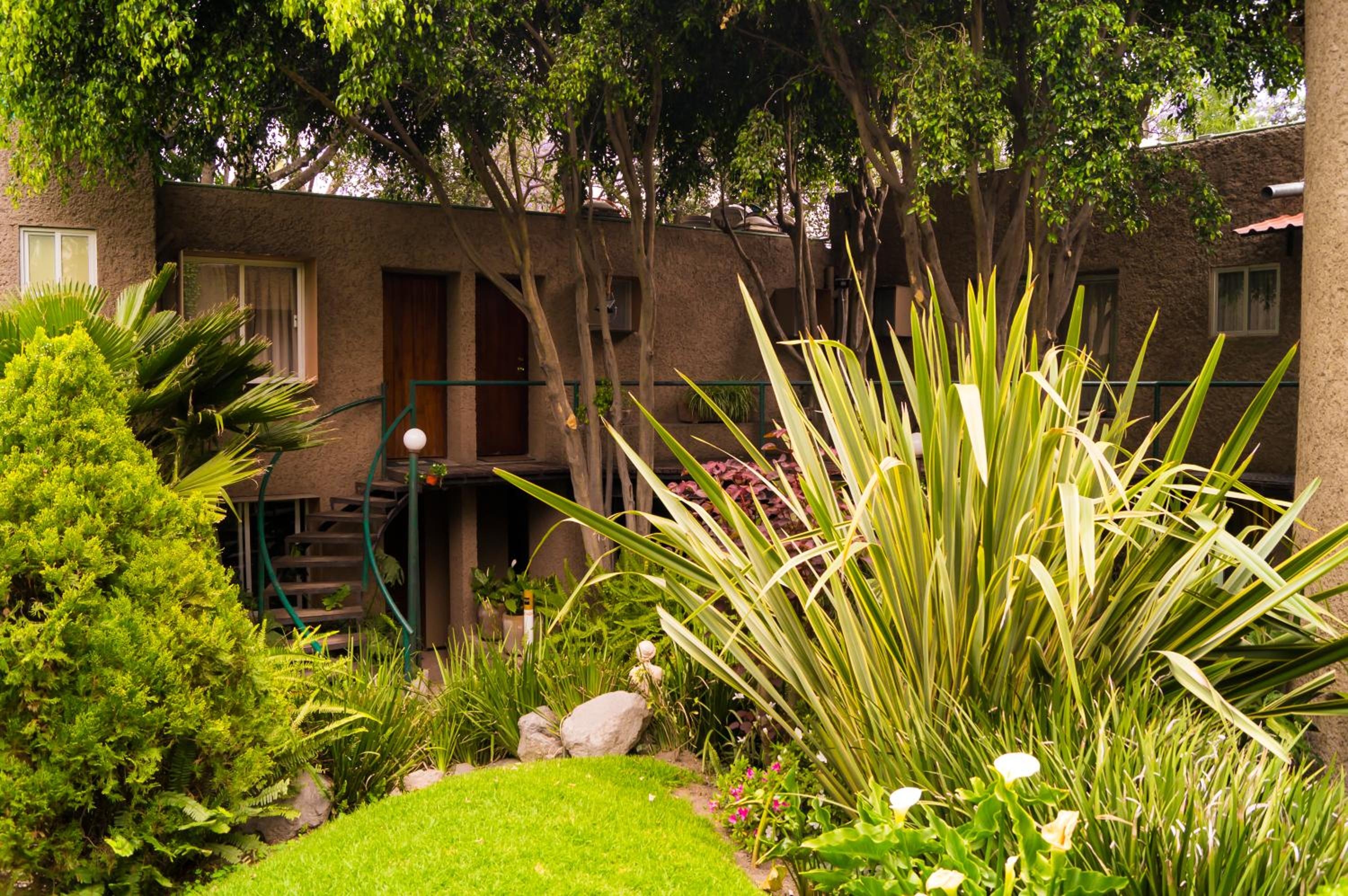 Suite 5B, Cultura, Garden House, Welcome to San Angel