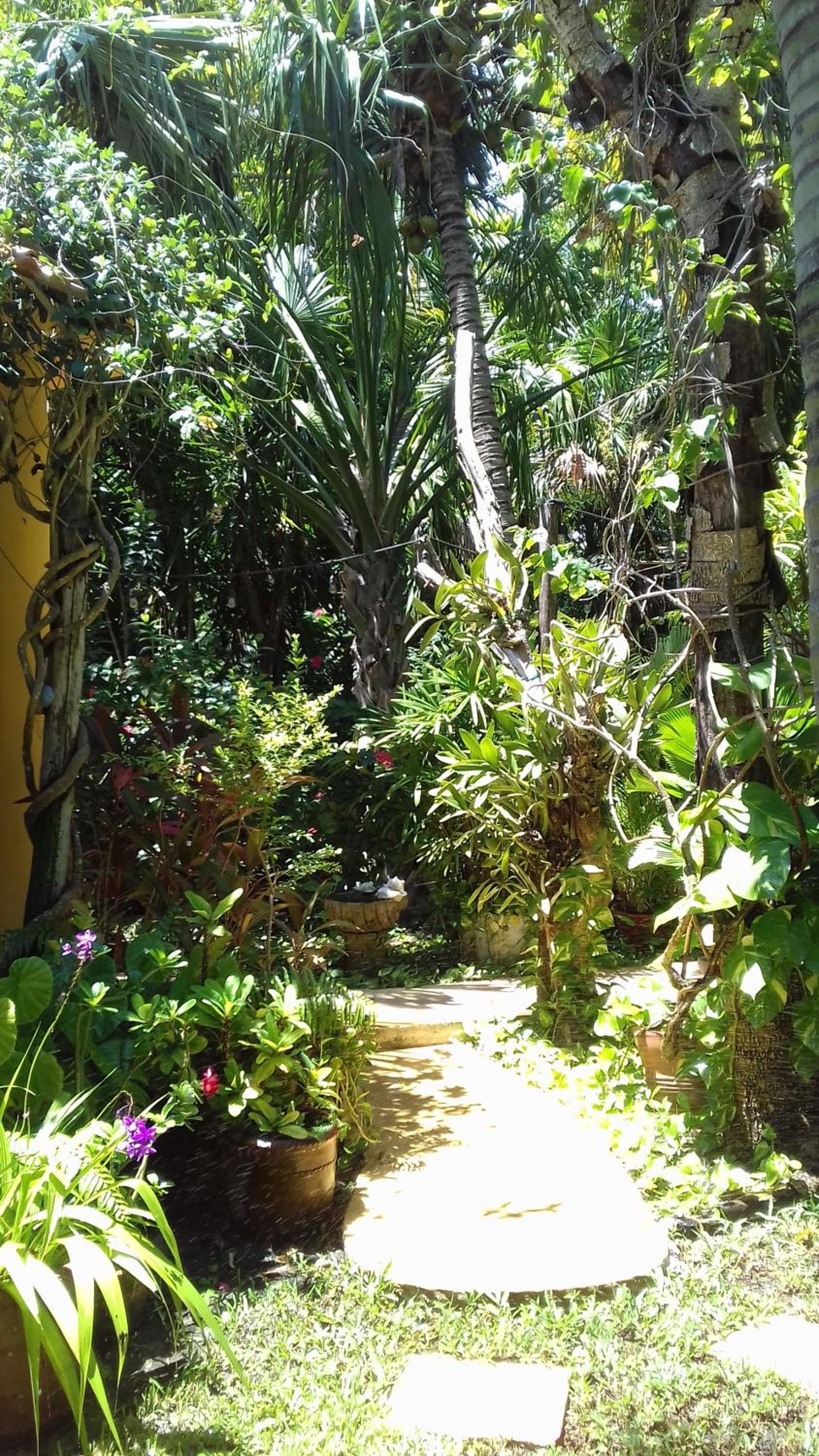 Casa Kin33, Cancún