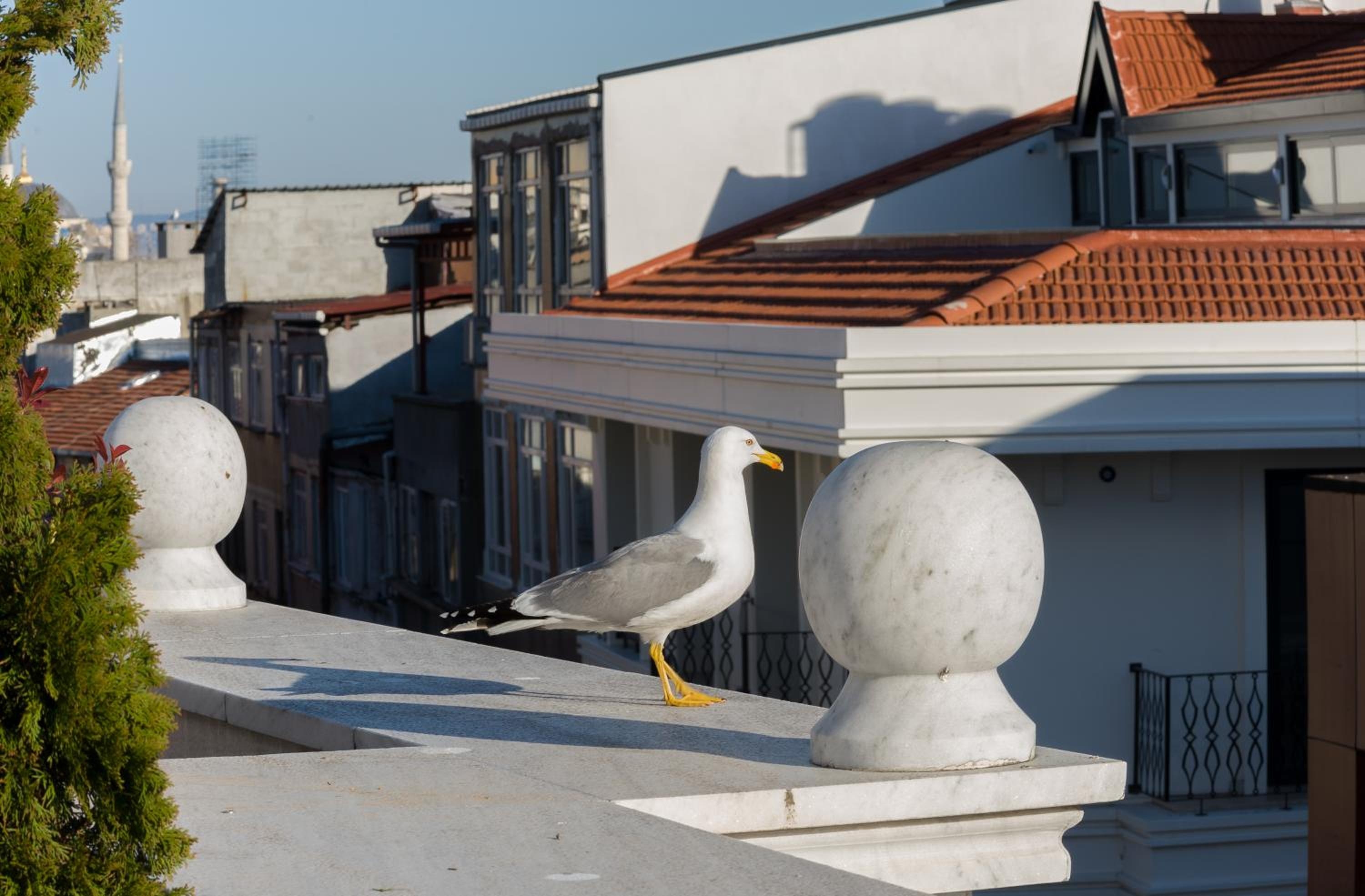 Foto de Bizim Hotel