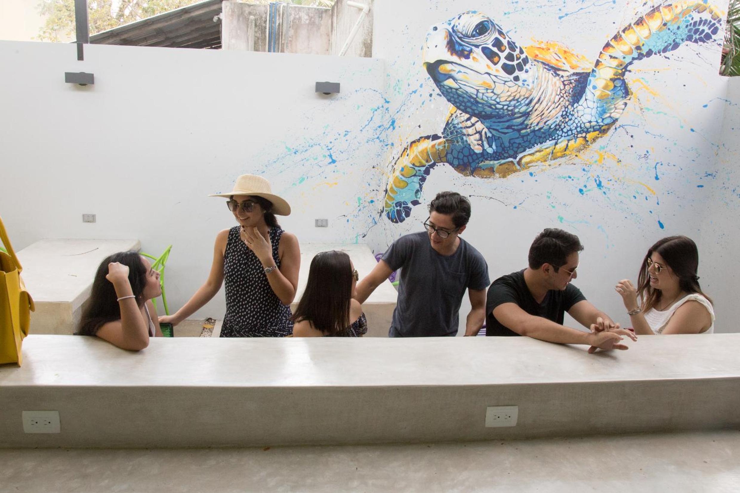Foto de Hostel Frente al Mar Tropico 20º