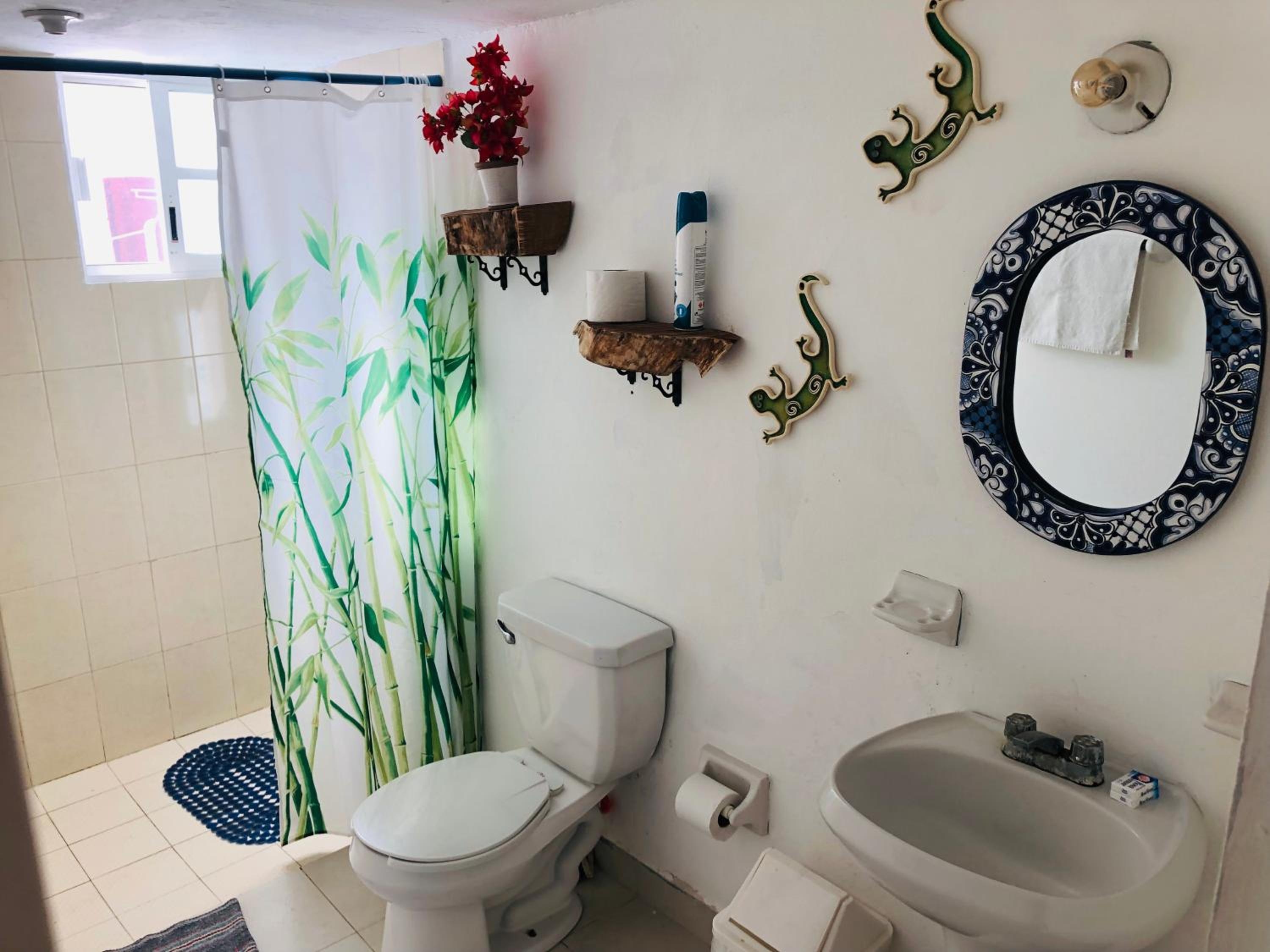 Foto de Casa Alberto Cozumel