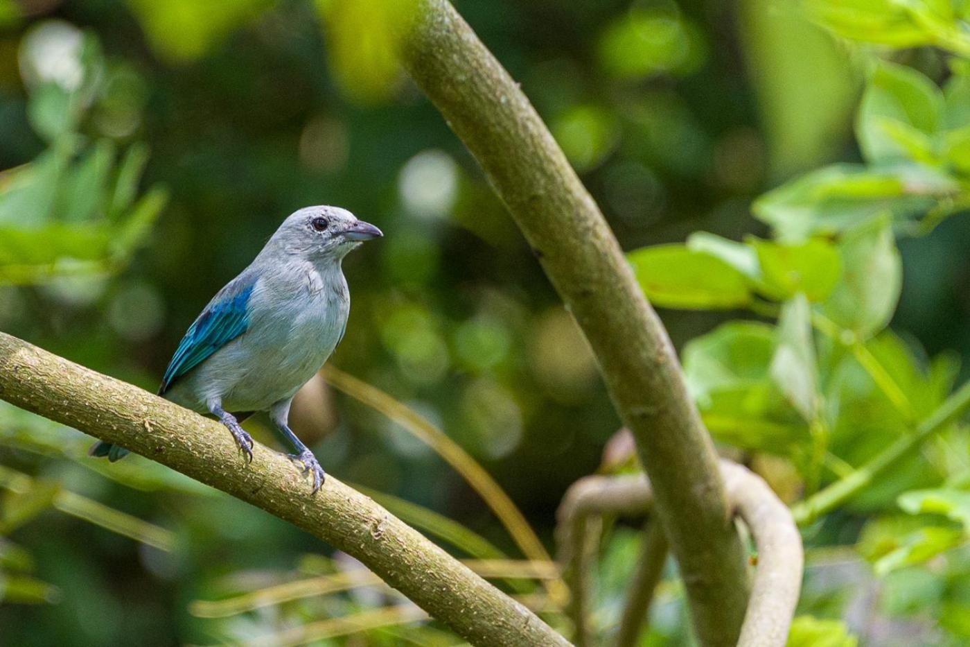 Foto de MuchoSur Quimbaya