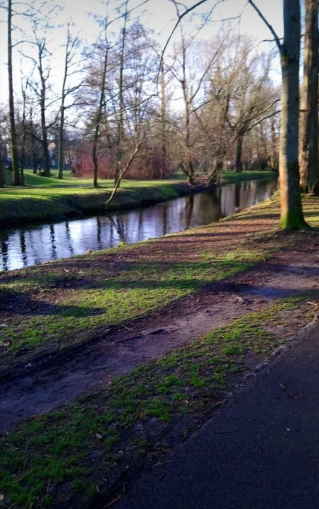 Foto de ruhiges Zimmer in Pankow