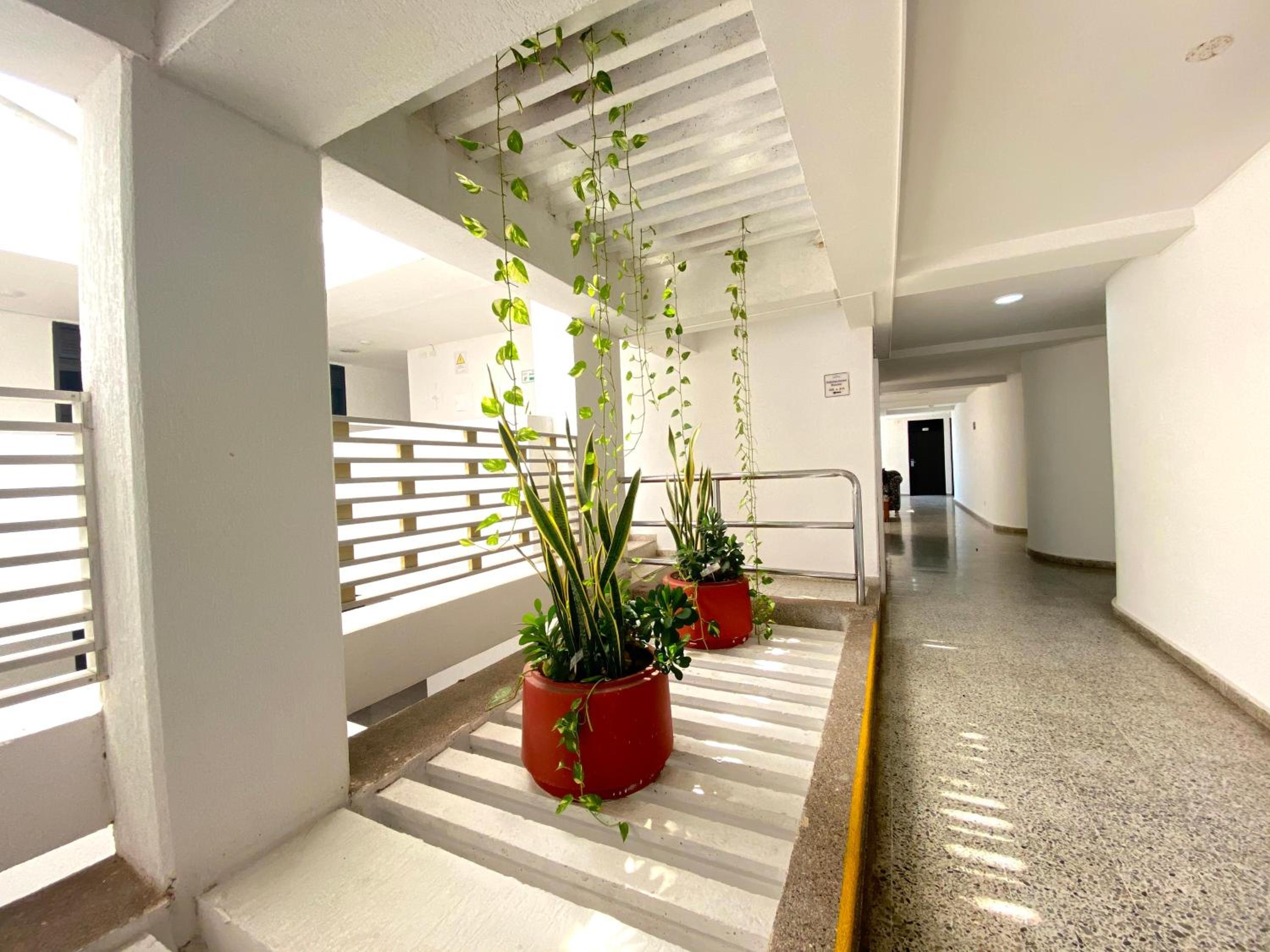 Foto de Hotel Arawak Upar