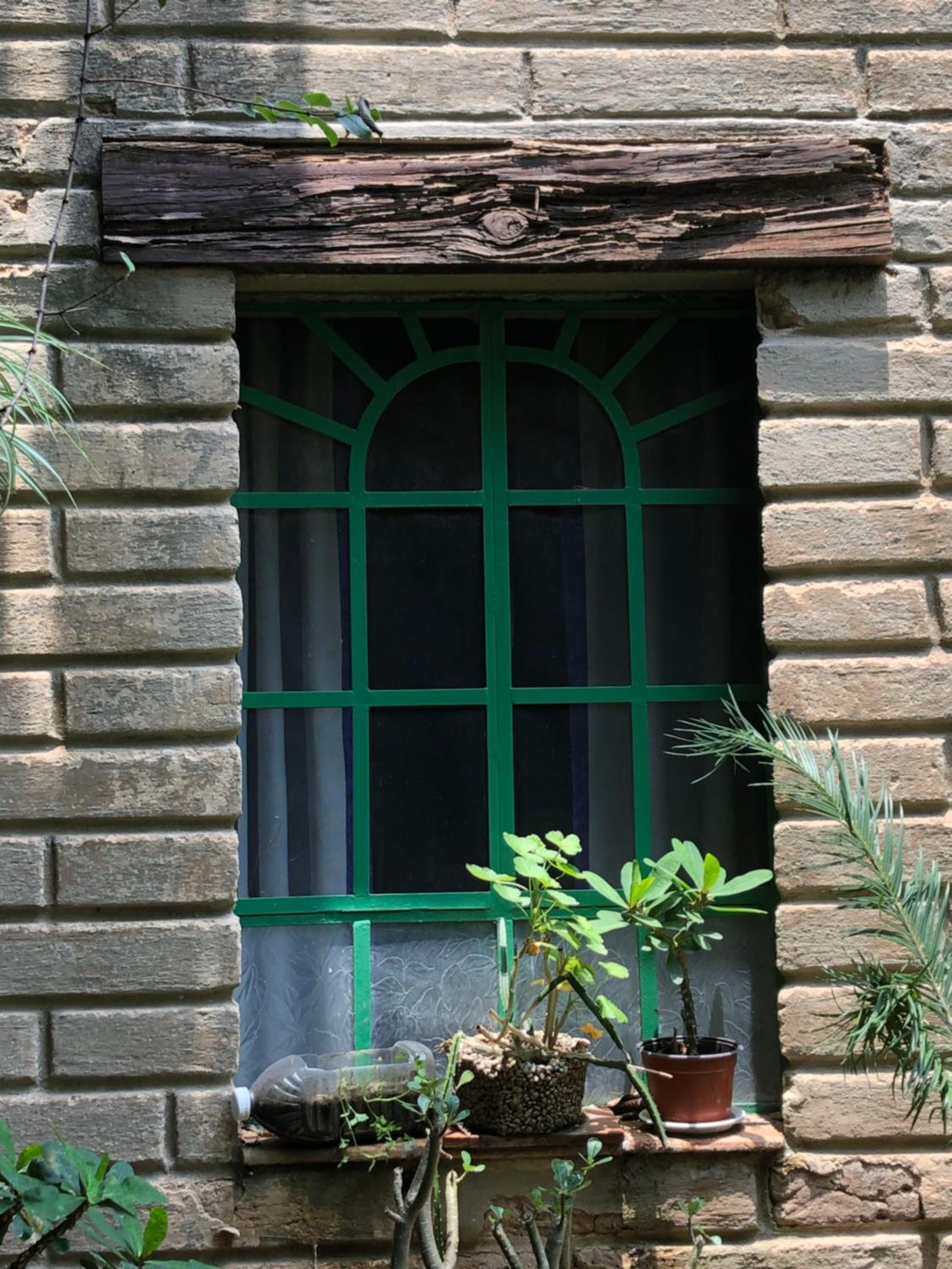 Foto de Casa del Retoño