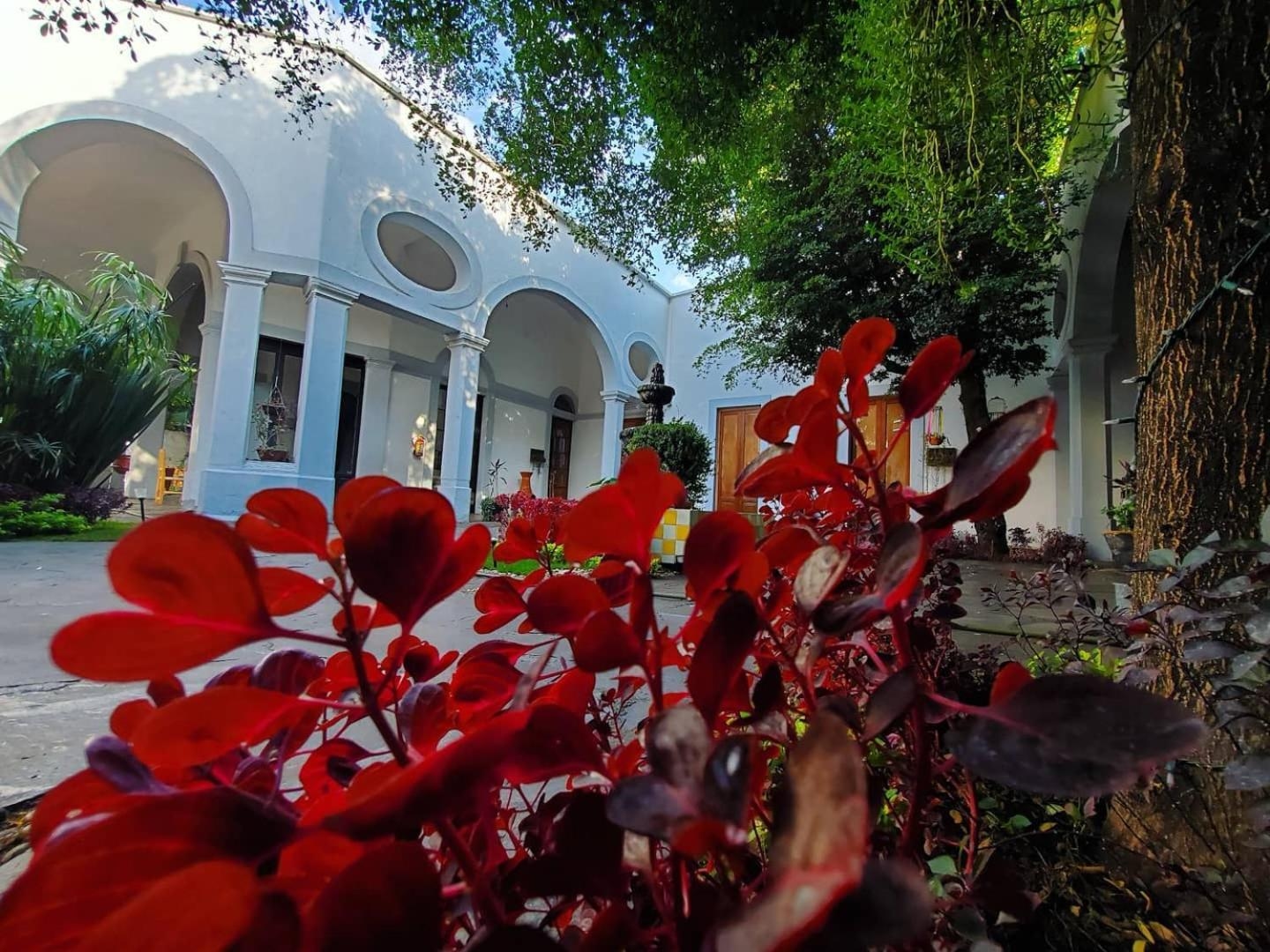 Foto de Tlaquepaque Pueblito