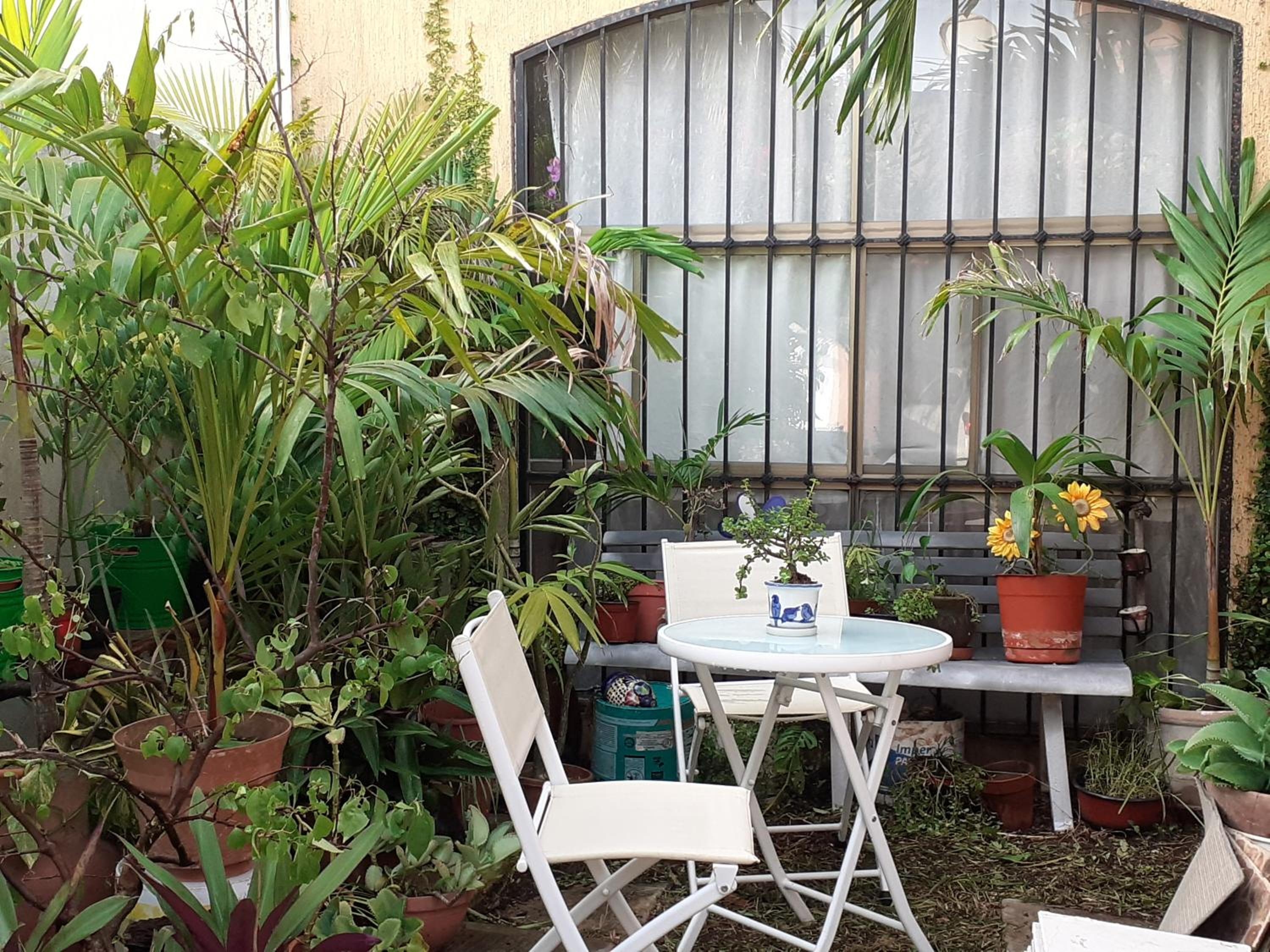 Foto de Casa Luz Verde
