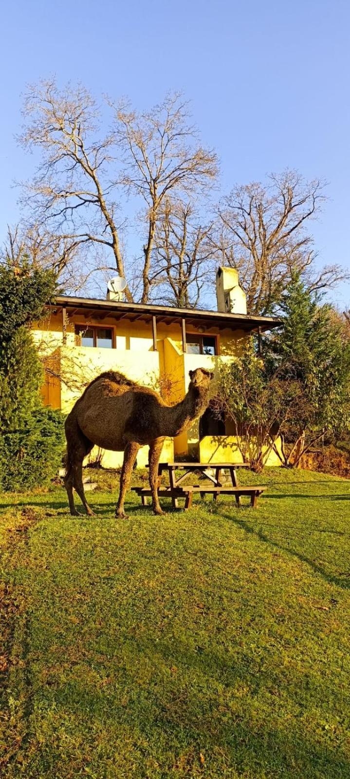 Foto de Polonezköy Country Club & Accommodation in the Wildlife Park!