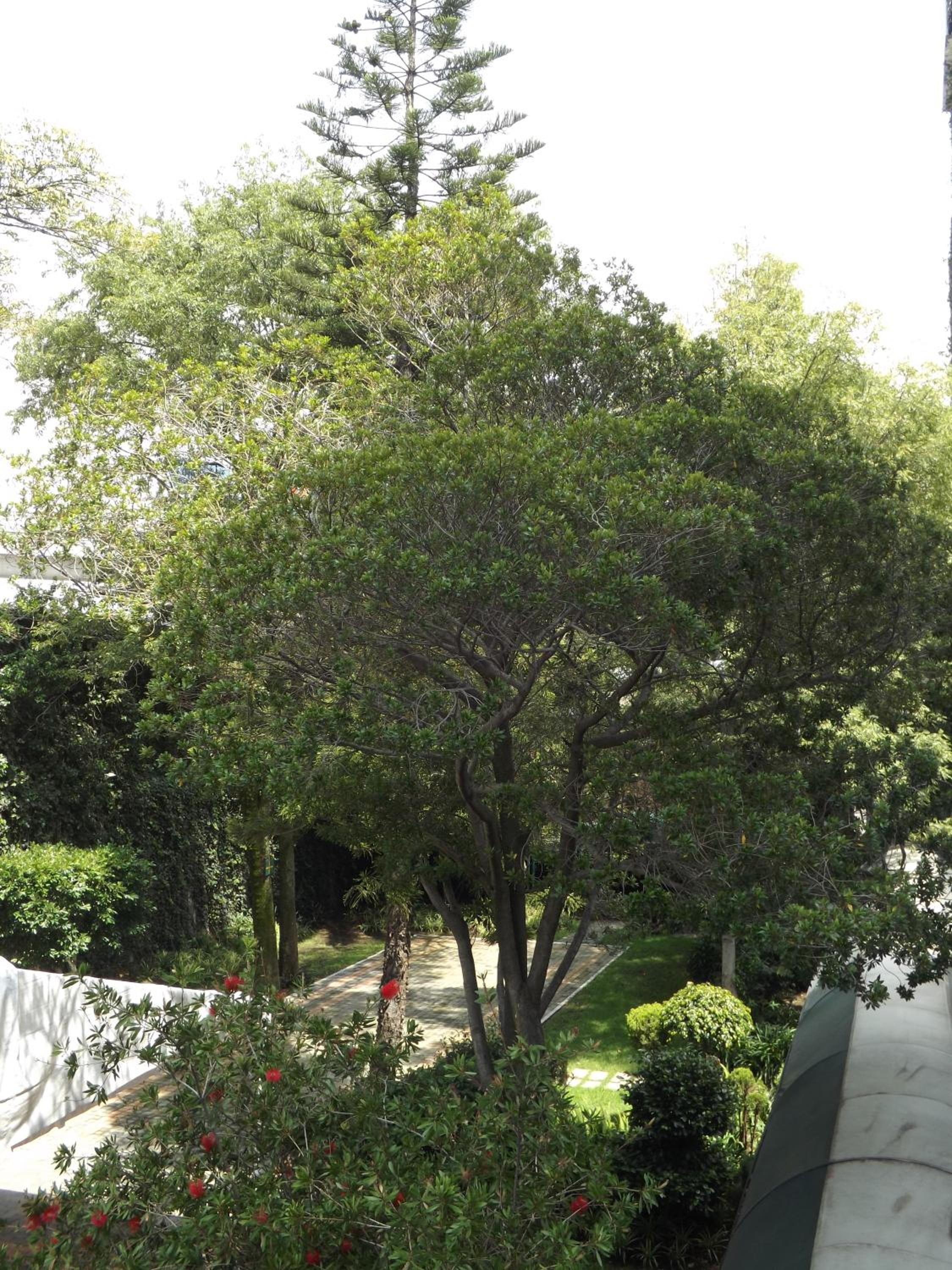 Foto de Pedregal Palace