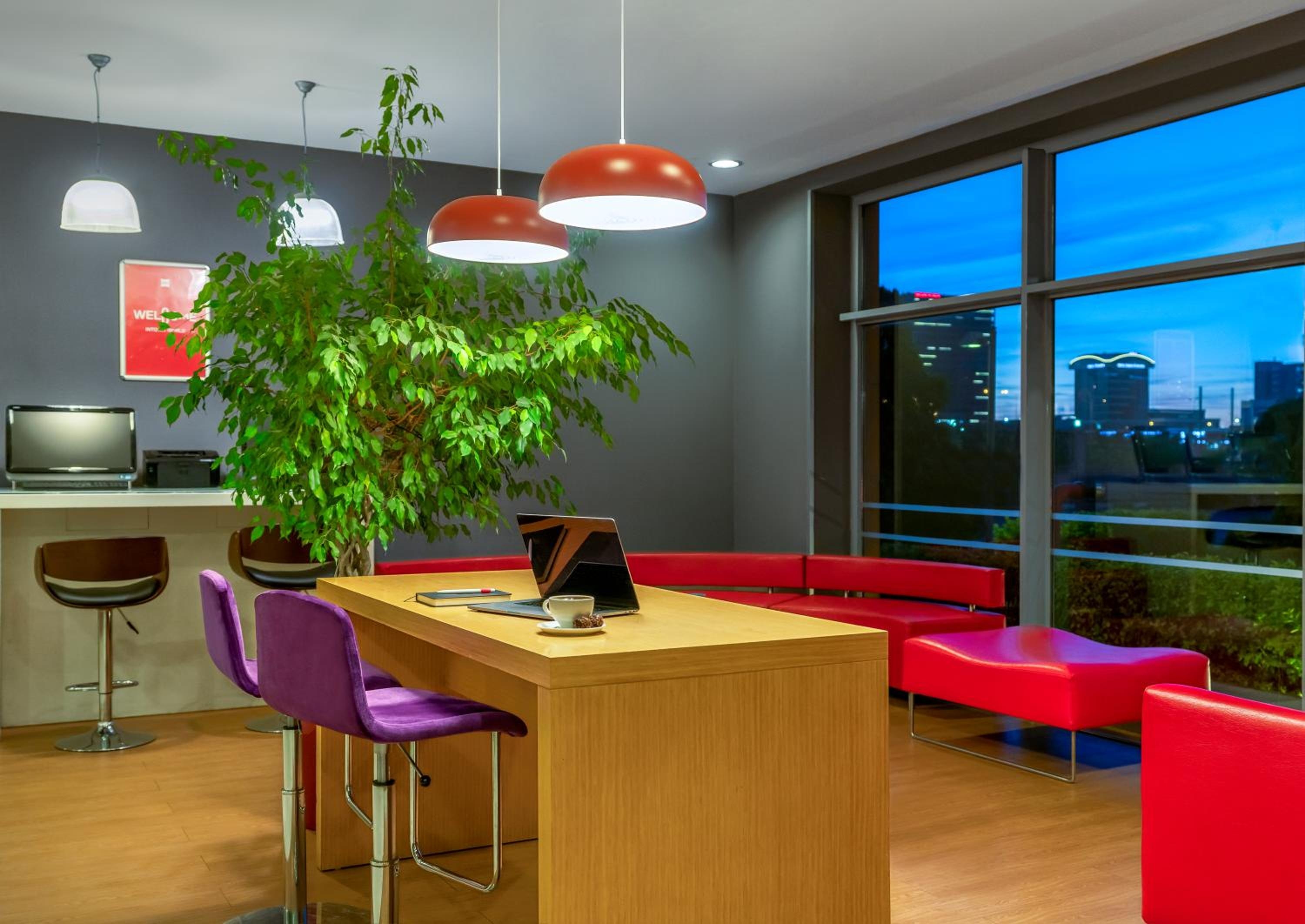 Foto de Ibis Bursa