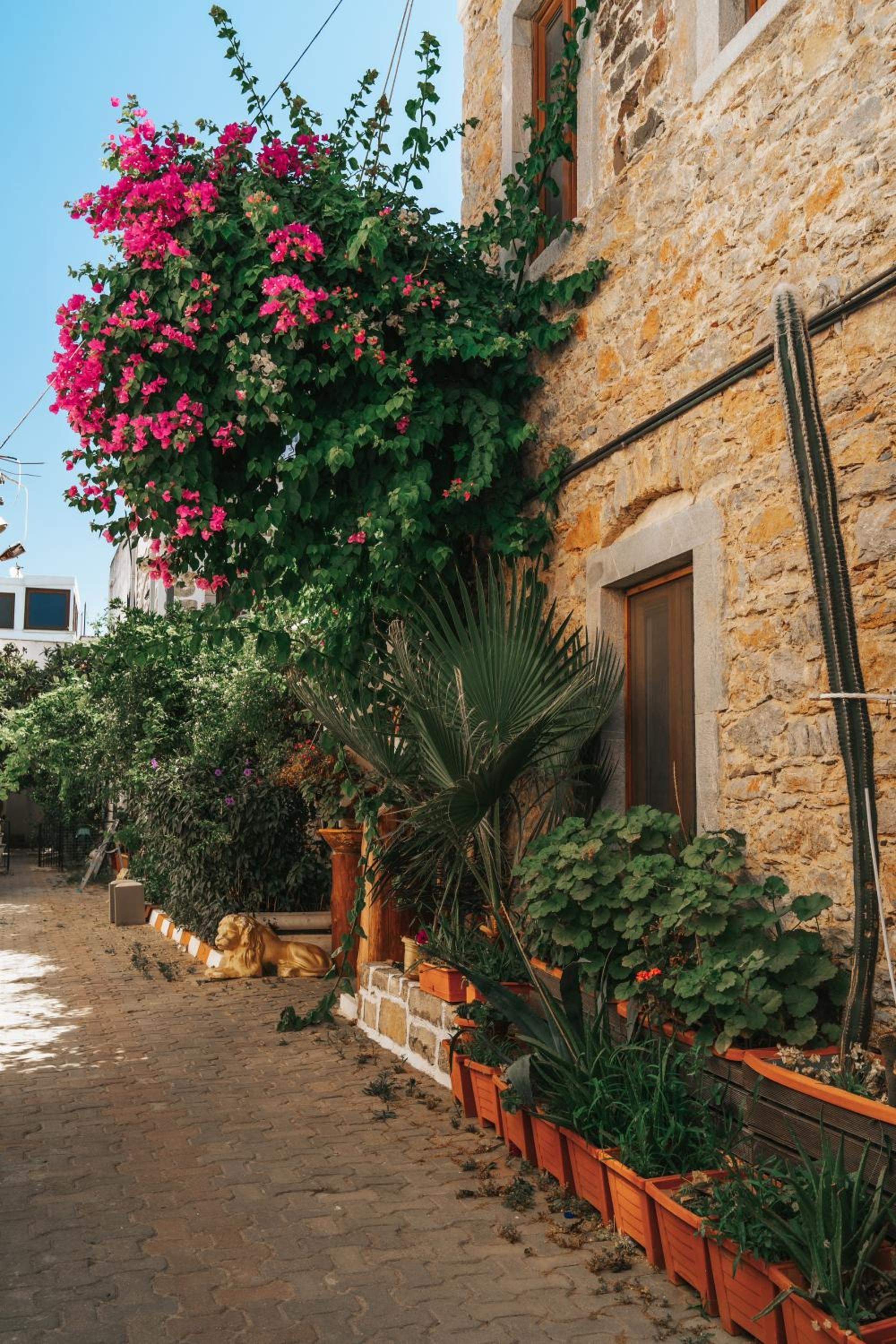 Foto de Akkan Hotel
