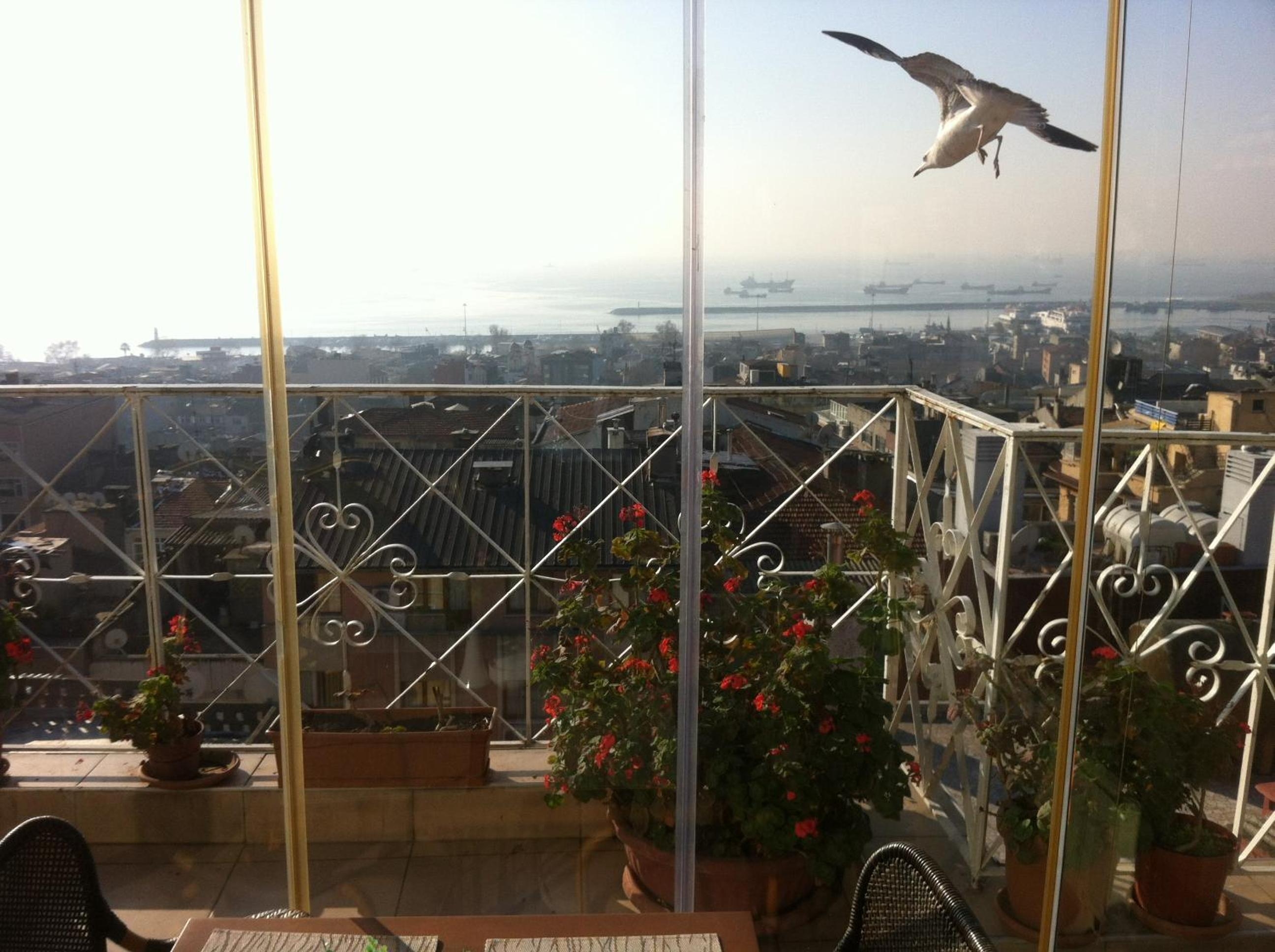 Foto de Hotel Linda