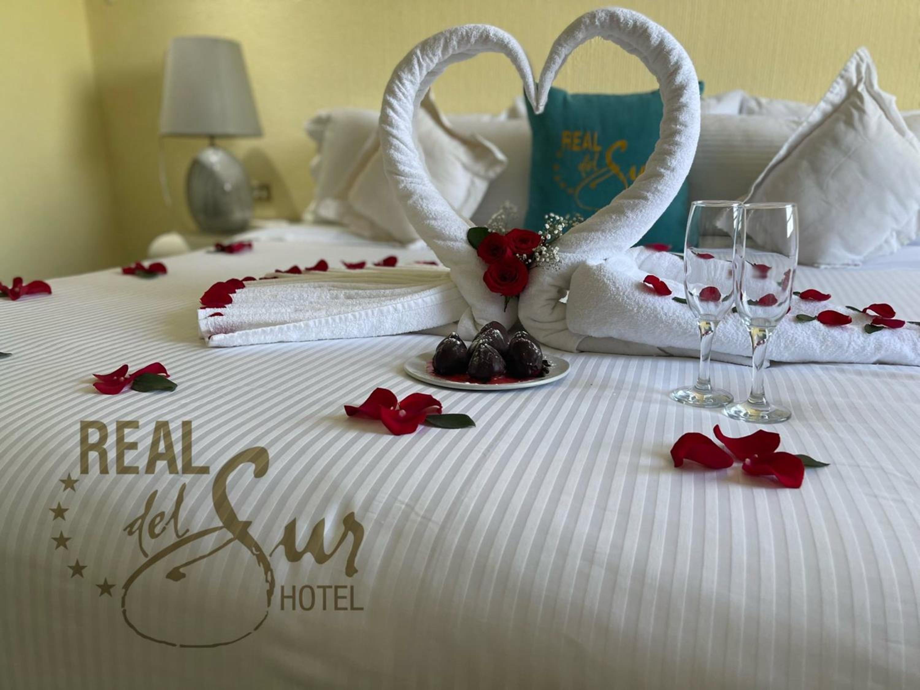 Foto de Hotel Real del Sur