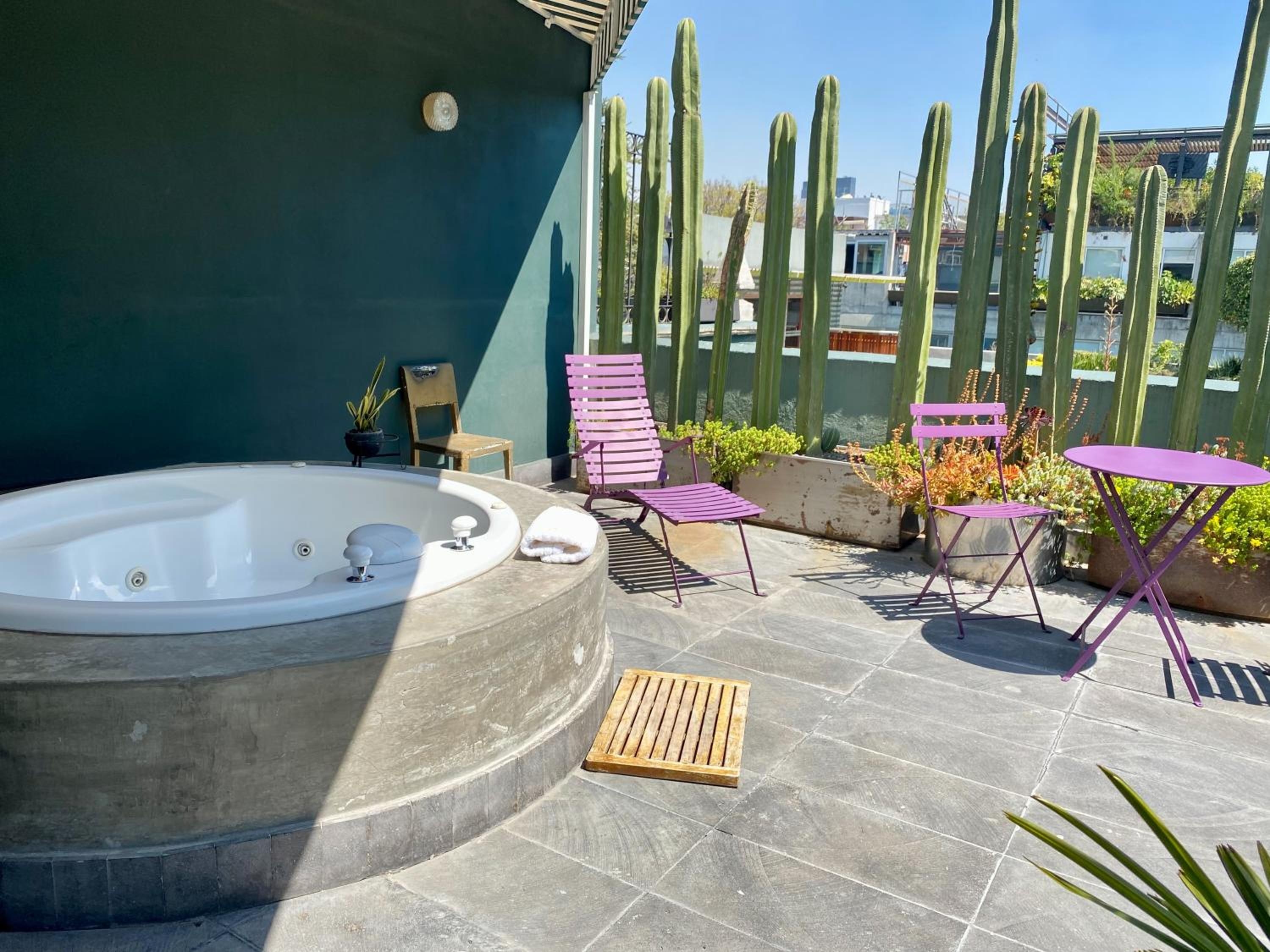 Foto de Pug Seal Polanco Anatole France