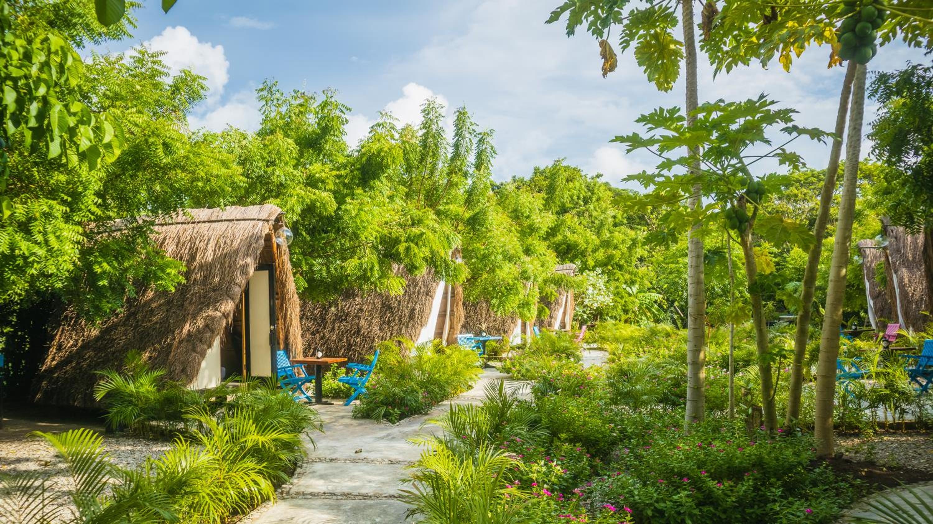 AMALIFE Beach Club & Hotel
