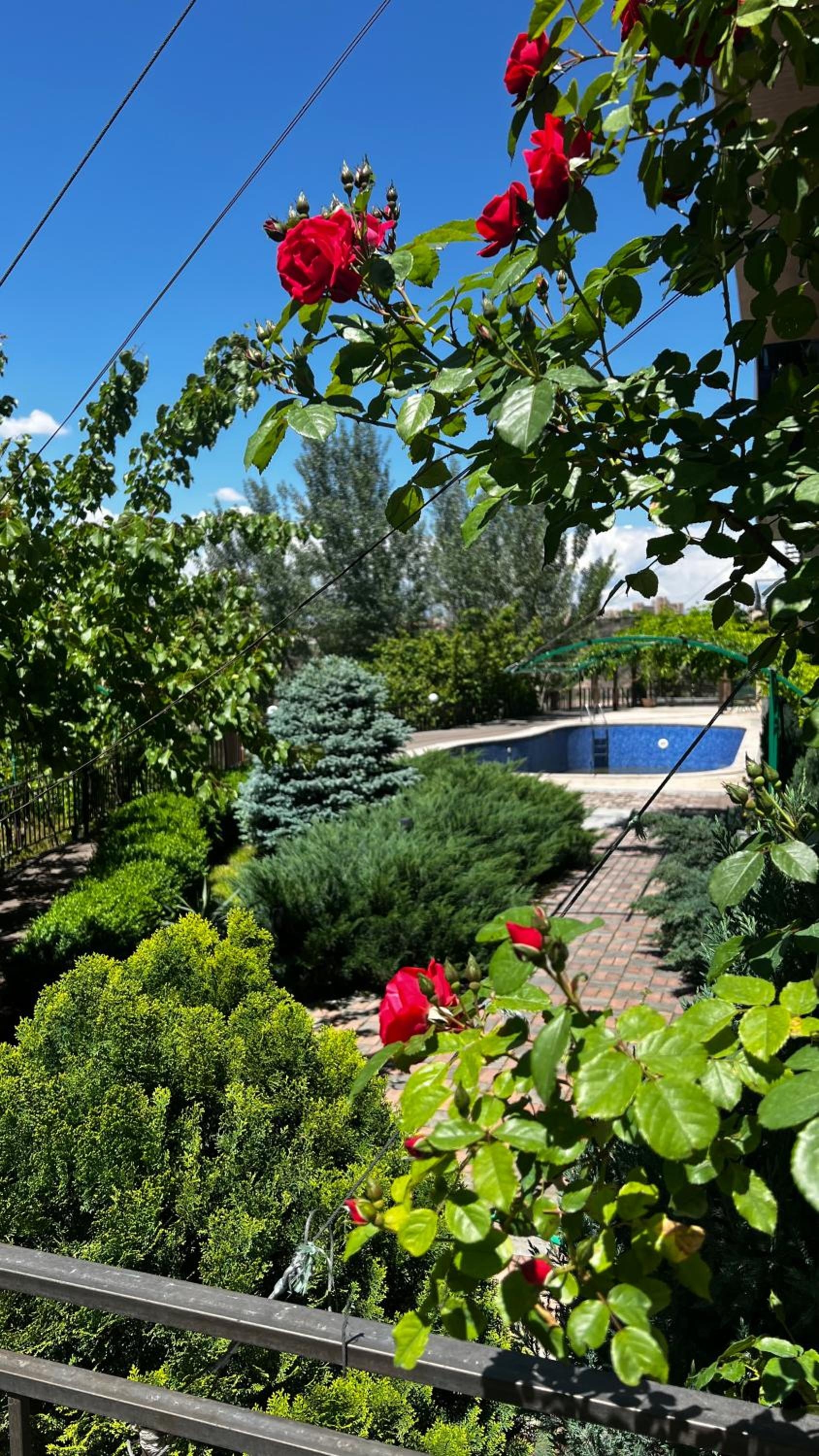Foto de Olympia Garden Hotel