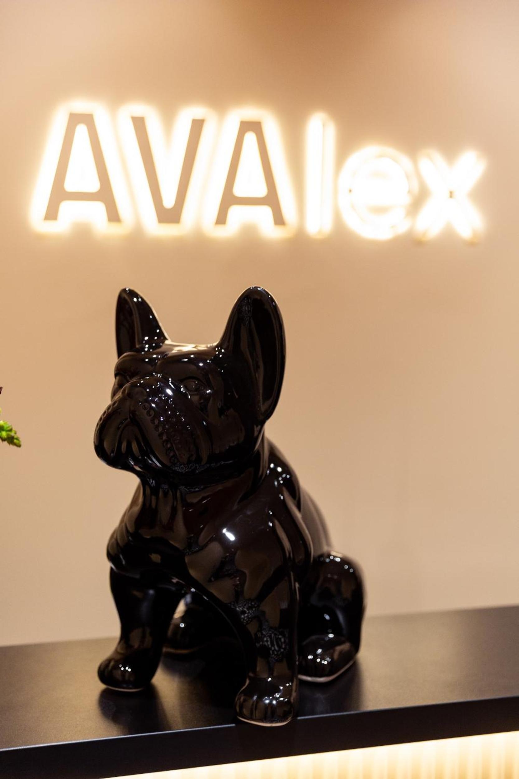 Foto de Hotel AVAlex