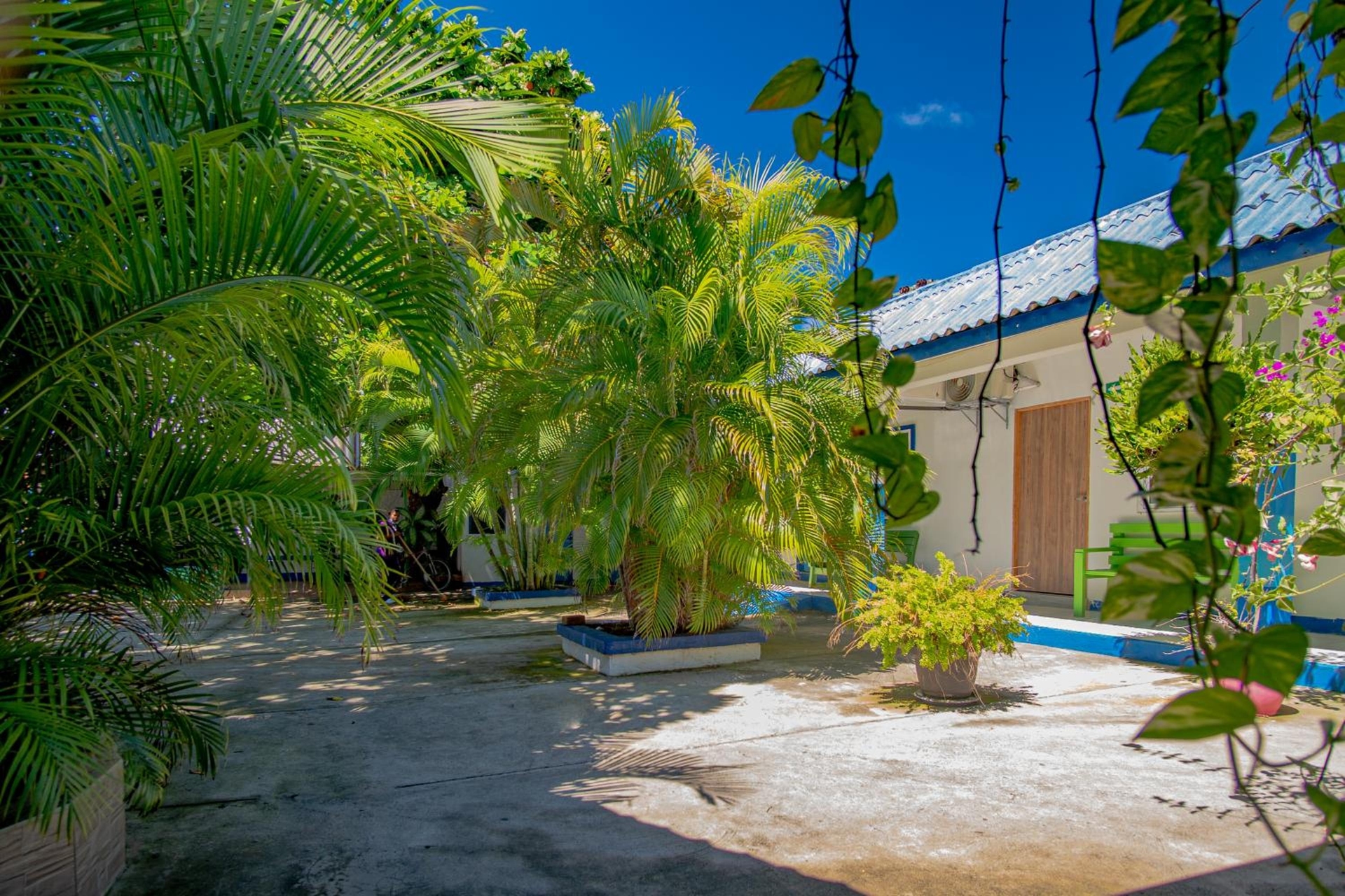 Alojamiento San Martín, San Andrés