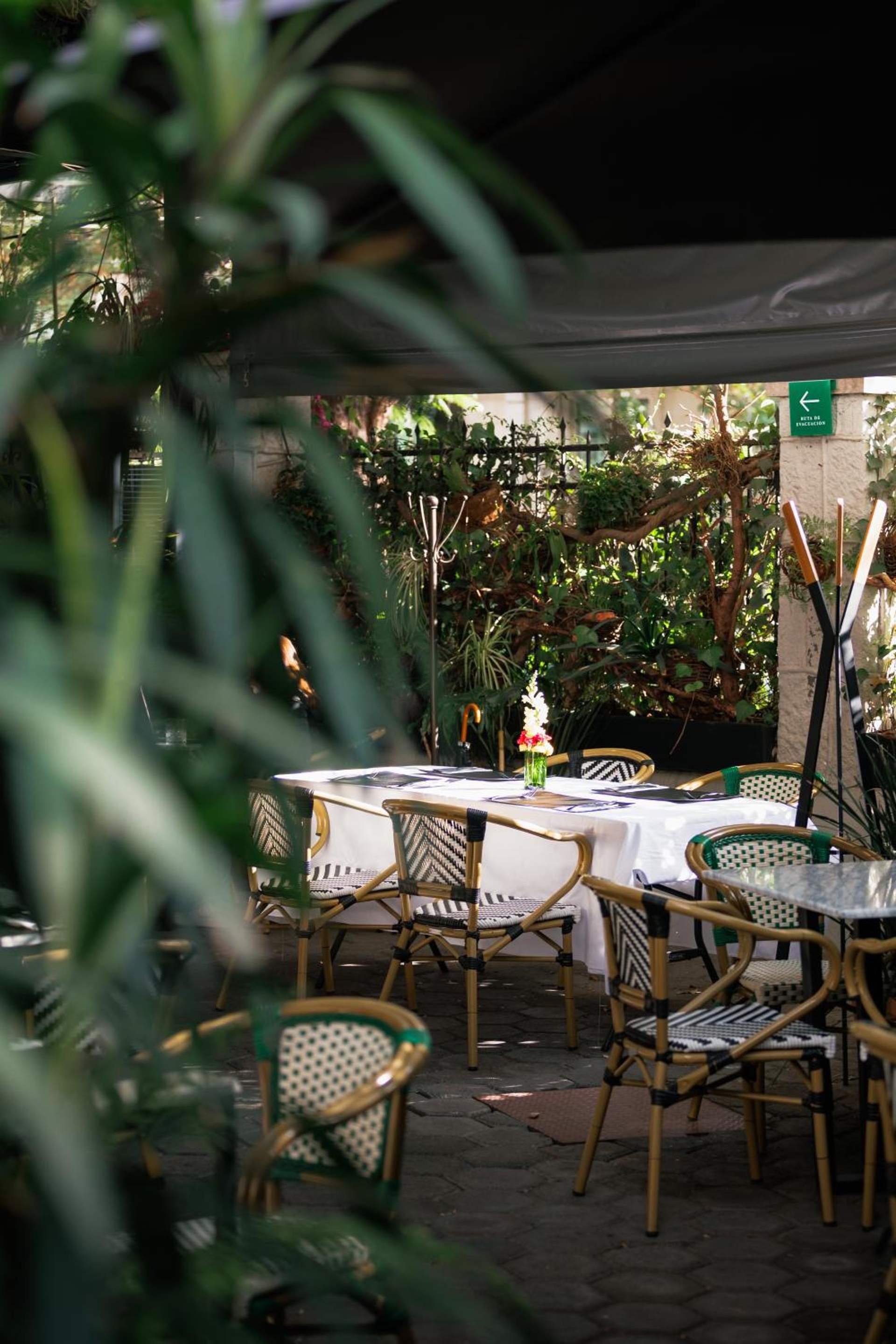 Foto de Orchid House Mexico City