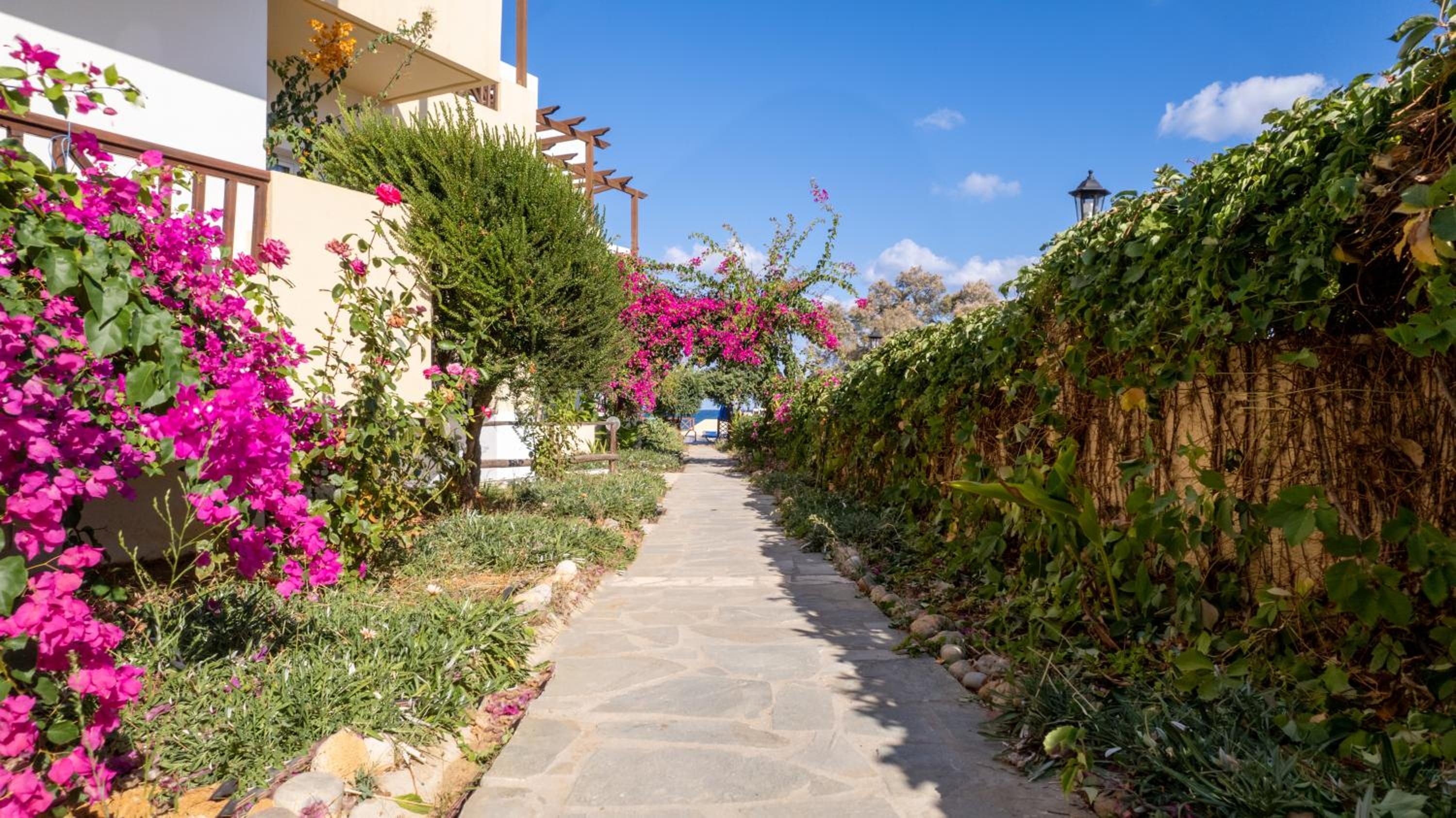 Dedalos Beach Hotel