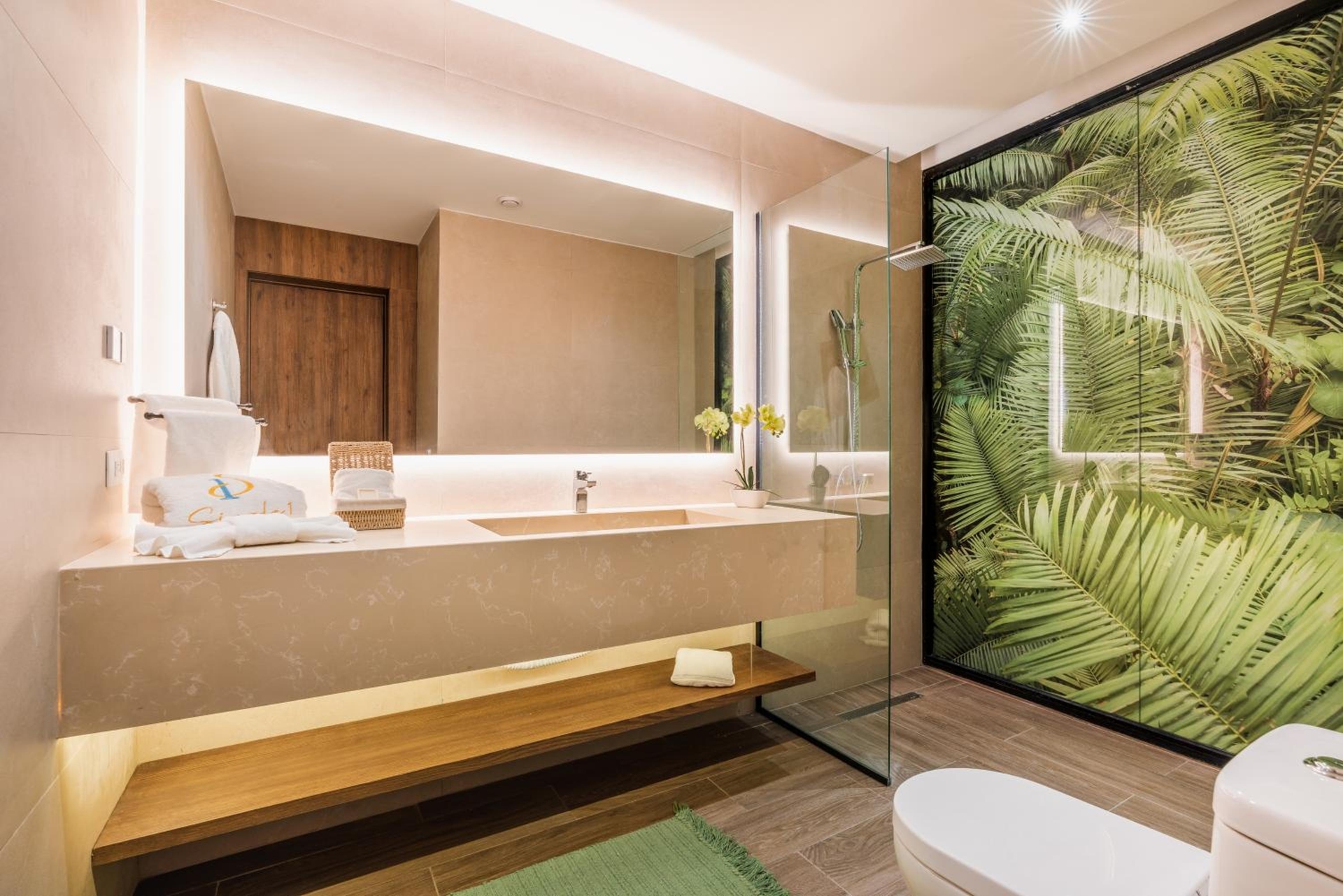 Hotel Faranda Single 1 Punta Cana - Adults Only, Punta cana