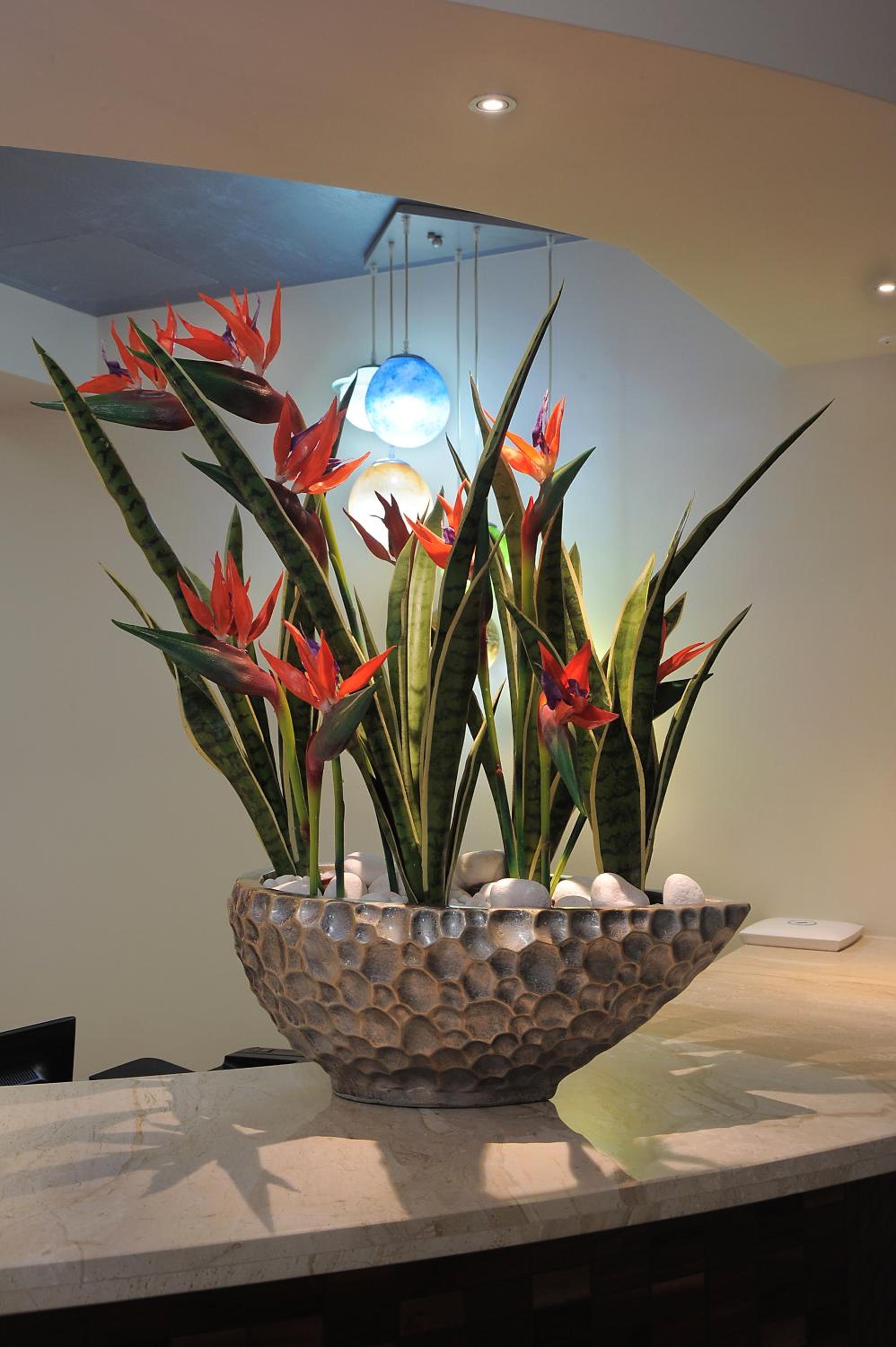 Foto de Nelia Gardens