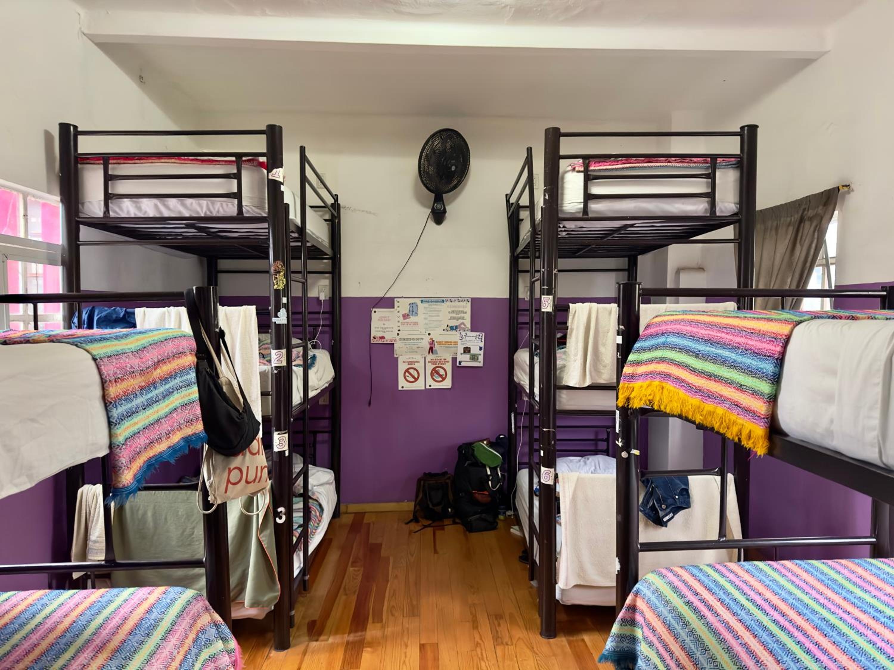 Foto de Massiosare El Hostal