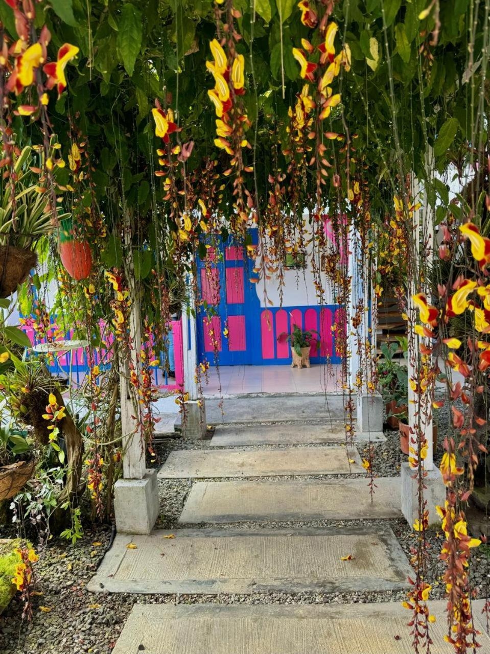 Foto de Hotel El Jardin