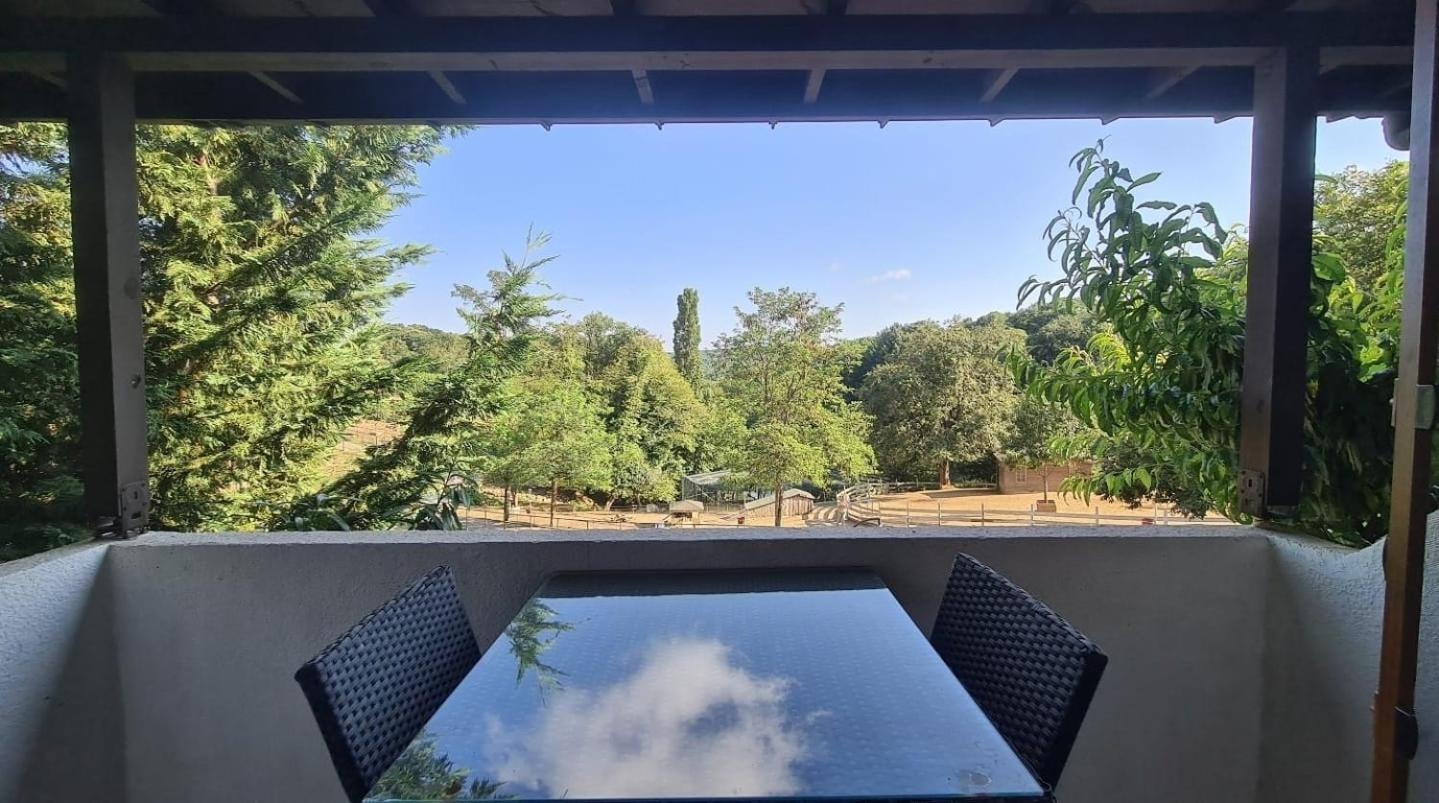 Foto de Polonezköy Country Club & Accommodation in the Wildlife Park!