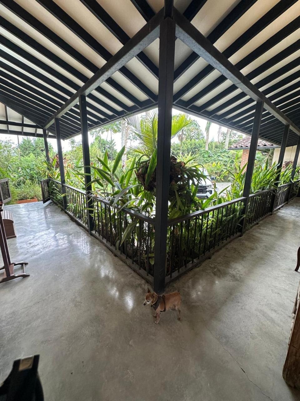Foto de Tukki Ecolodge Hotel