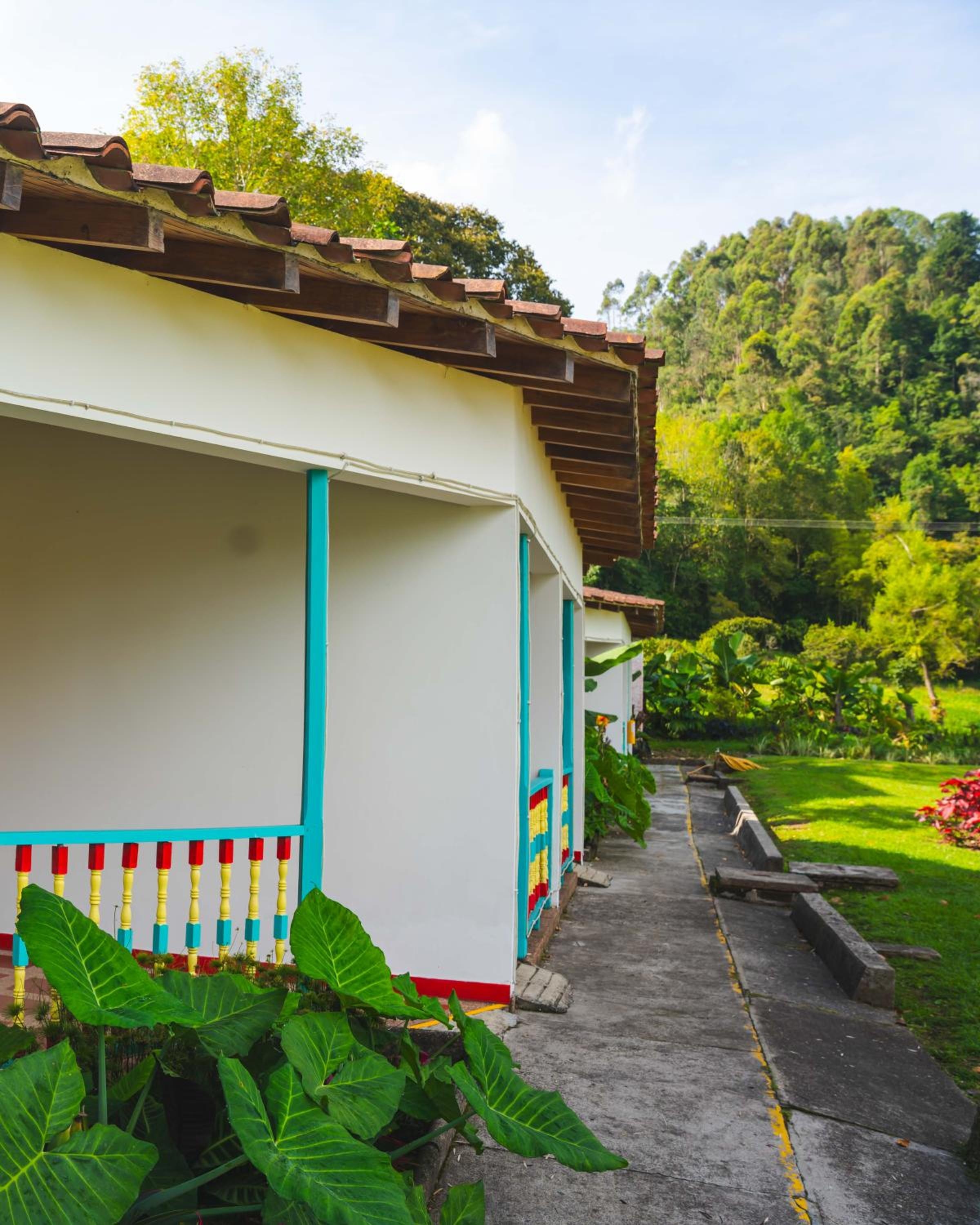 Foto de Dreamer Cocora