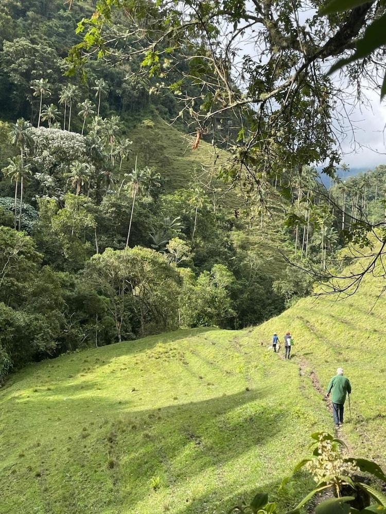 Foto de Sazagua Reserva Natural Cocora
