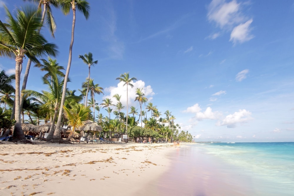 Foto de Grand Palladium Palace Resort Spa & Casino - All Inclusive