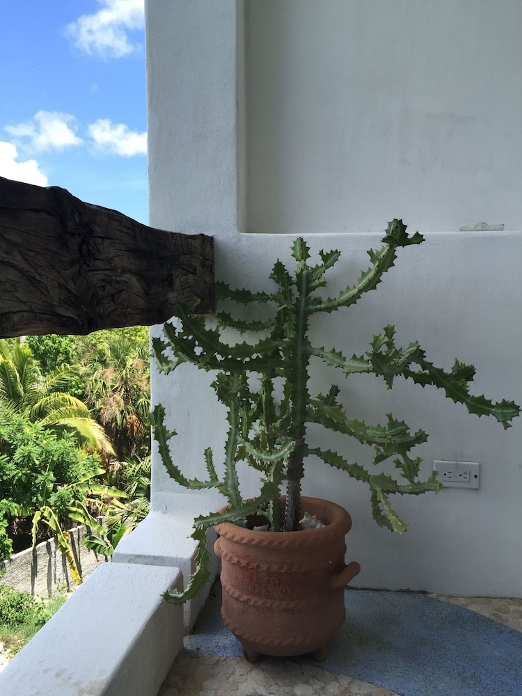 Foto de Mi Casa en Cozumel