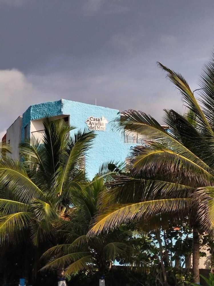 Foto de Hotel Avadia Del Mar