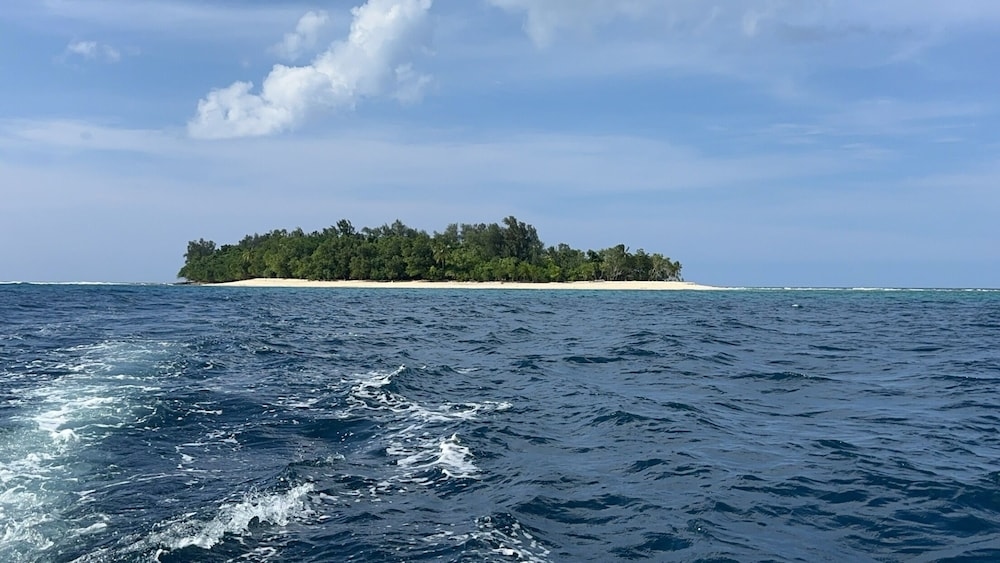 Foto de Dany Island