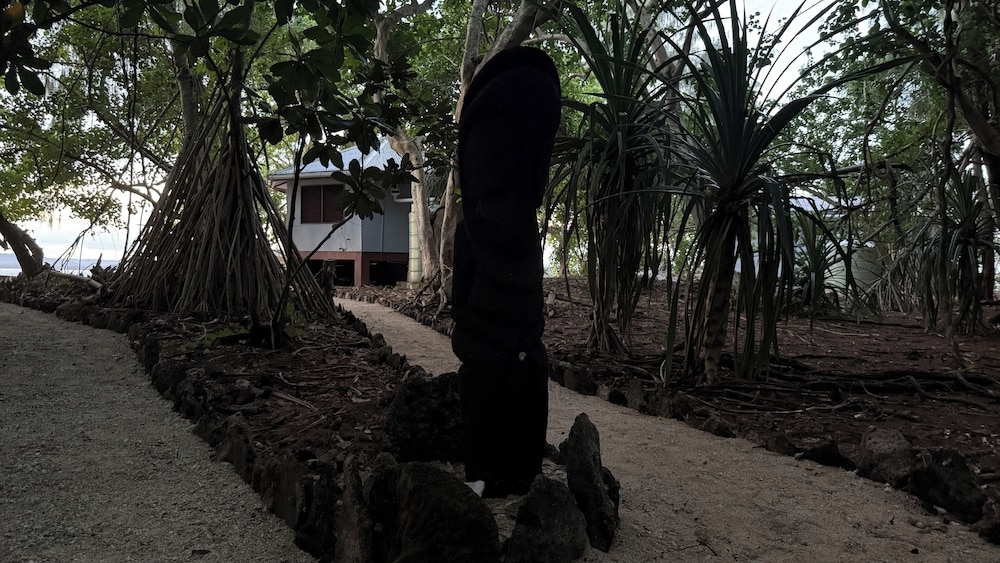 Foto de Dany Island