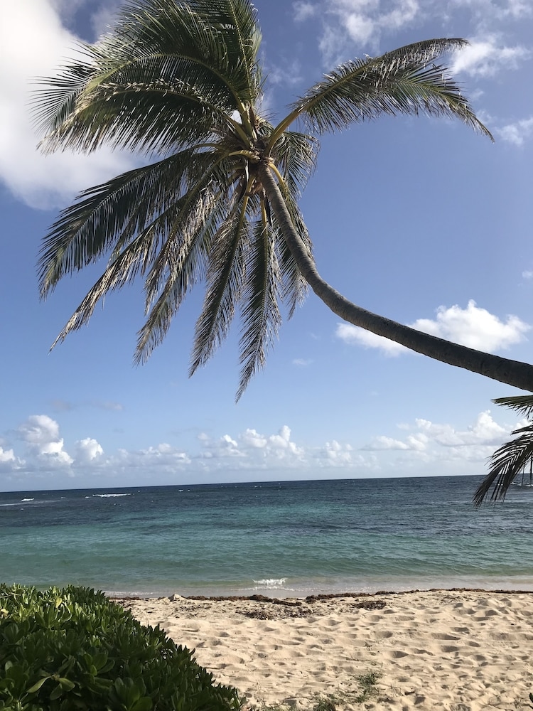Foto de The Palms at Pelican Cove