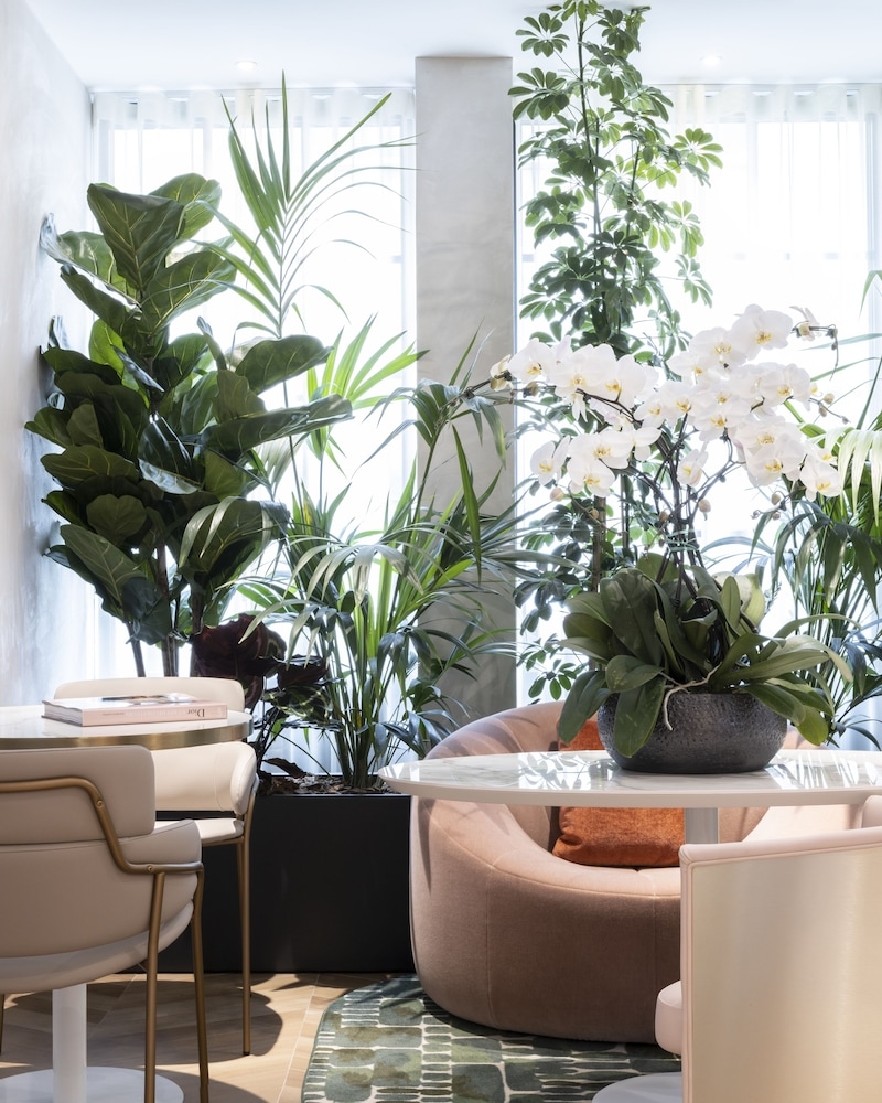 Foto de Hotel Parisianer