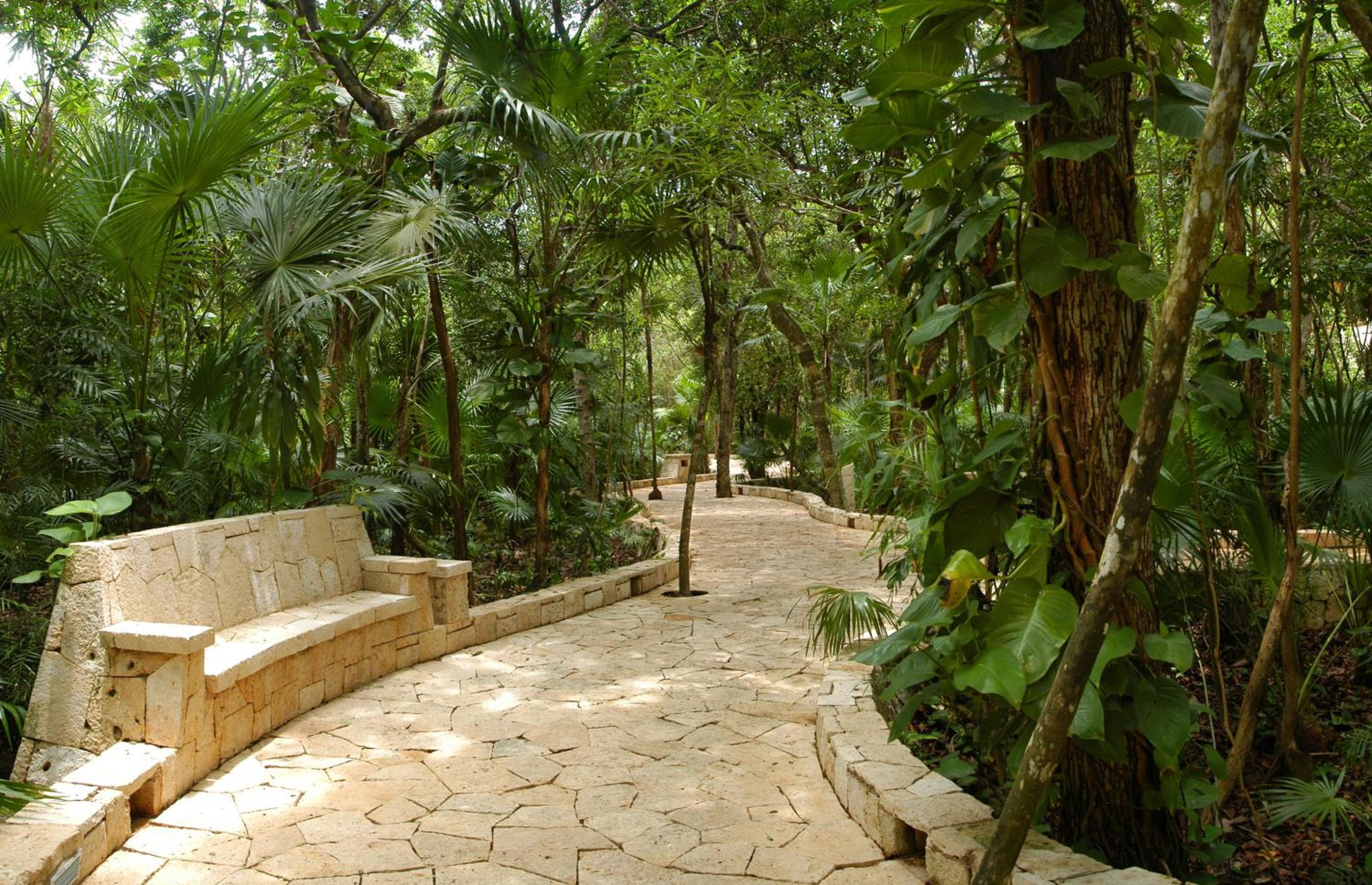 Foto de Catalonia Royal Tulum Beach & Spa Resort Adults Only - All Inclusive