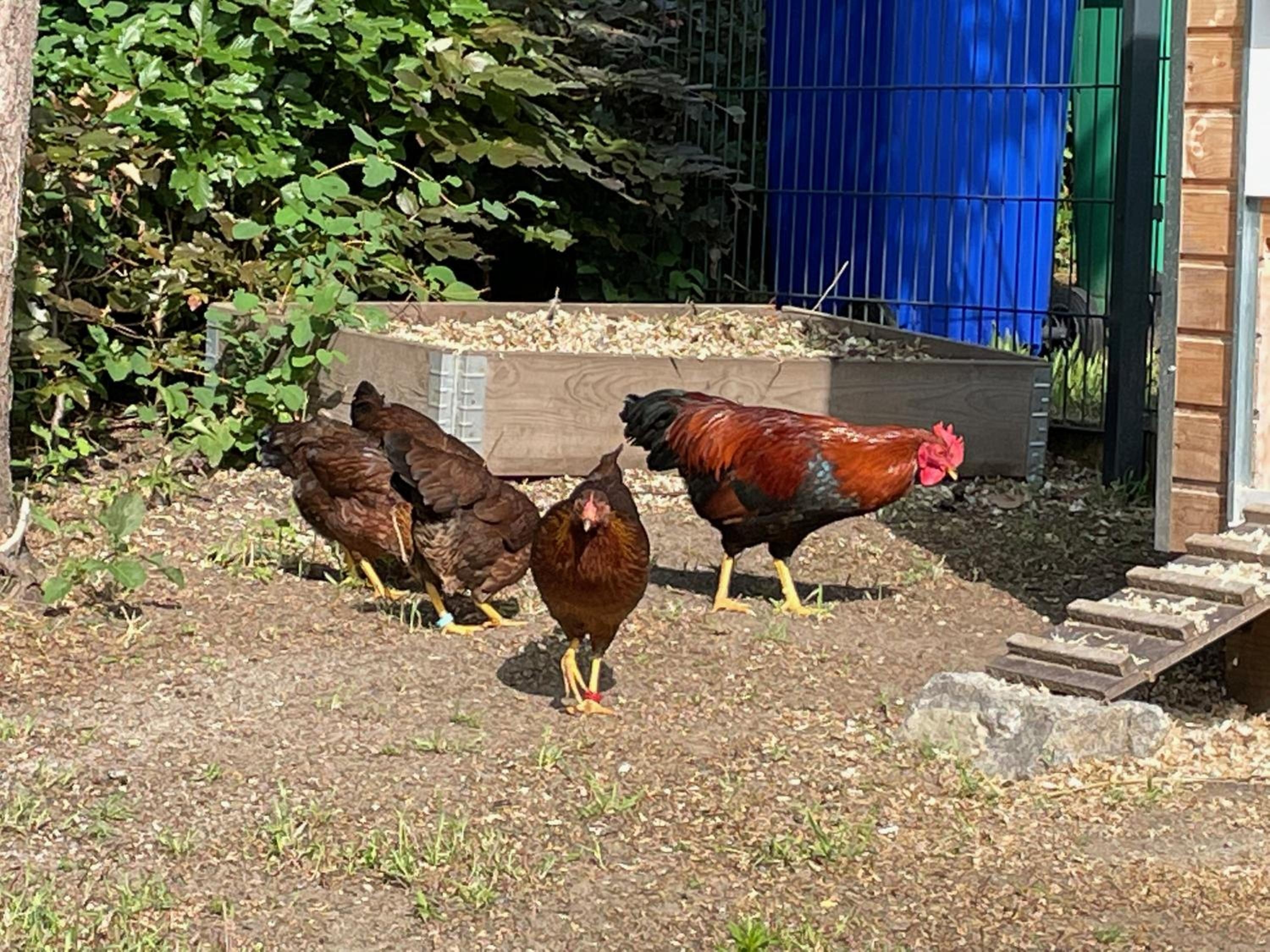 Foto de Ferienwohnung Carla Rohls